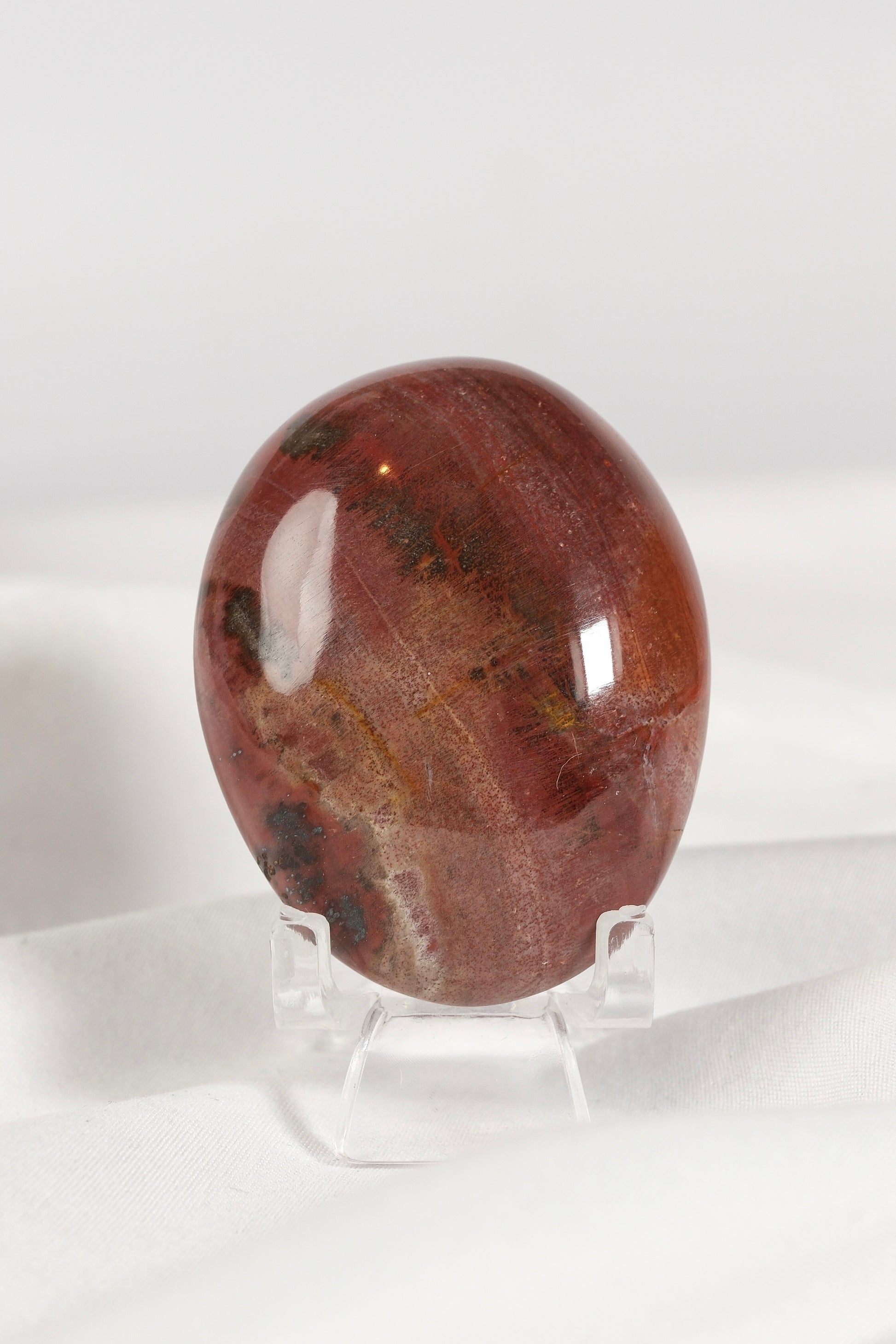 Petrified Wood Palmstone