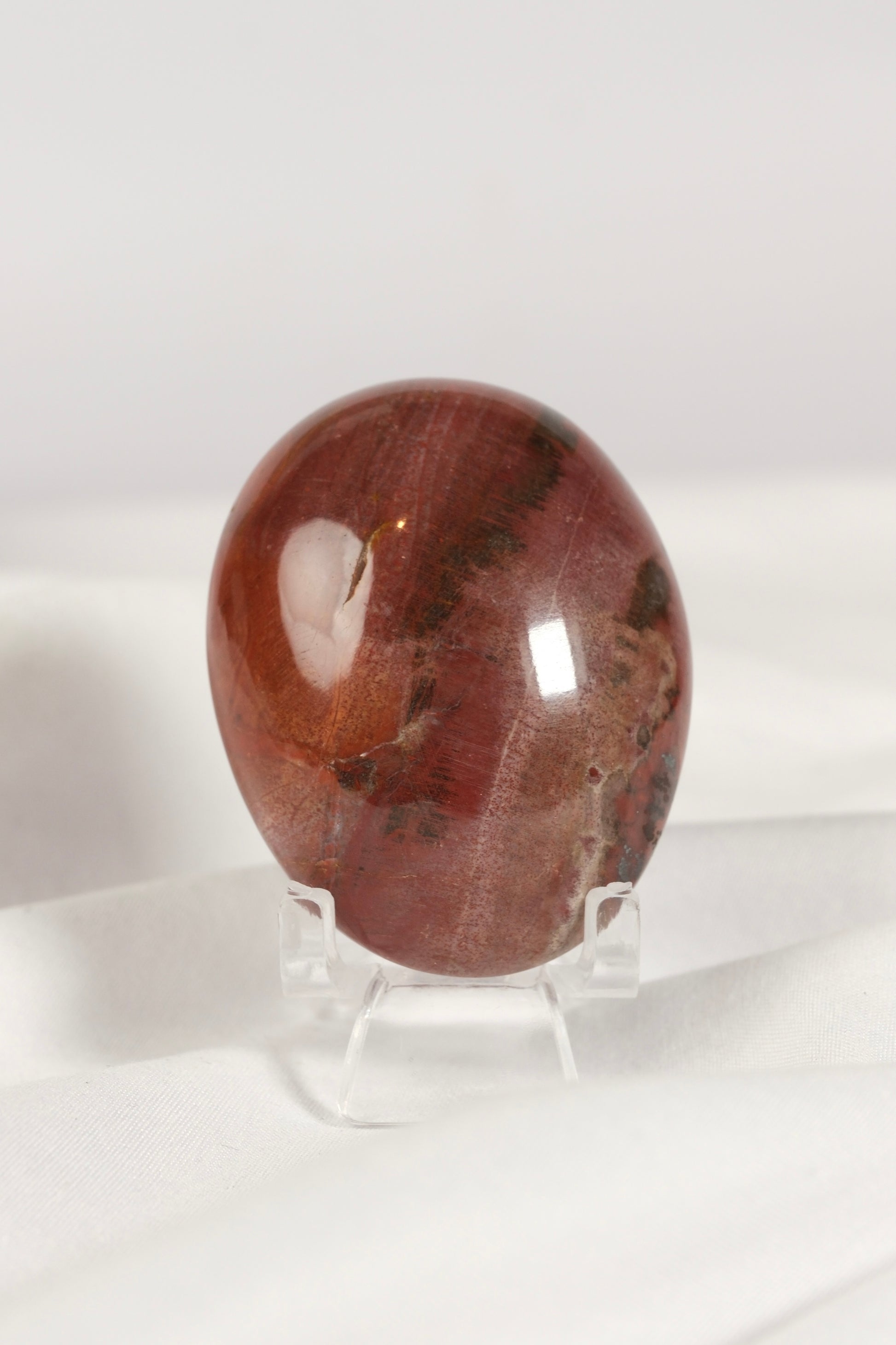 Petrified Wood Palmstone