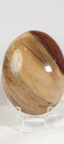 Petrified Wood Palmstone