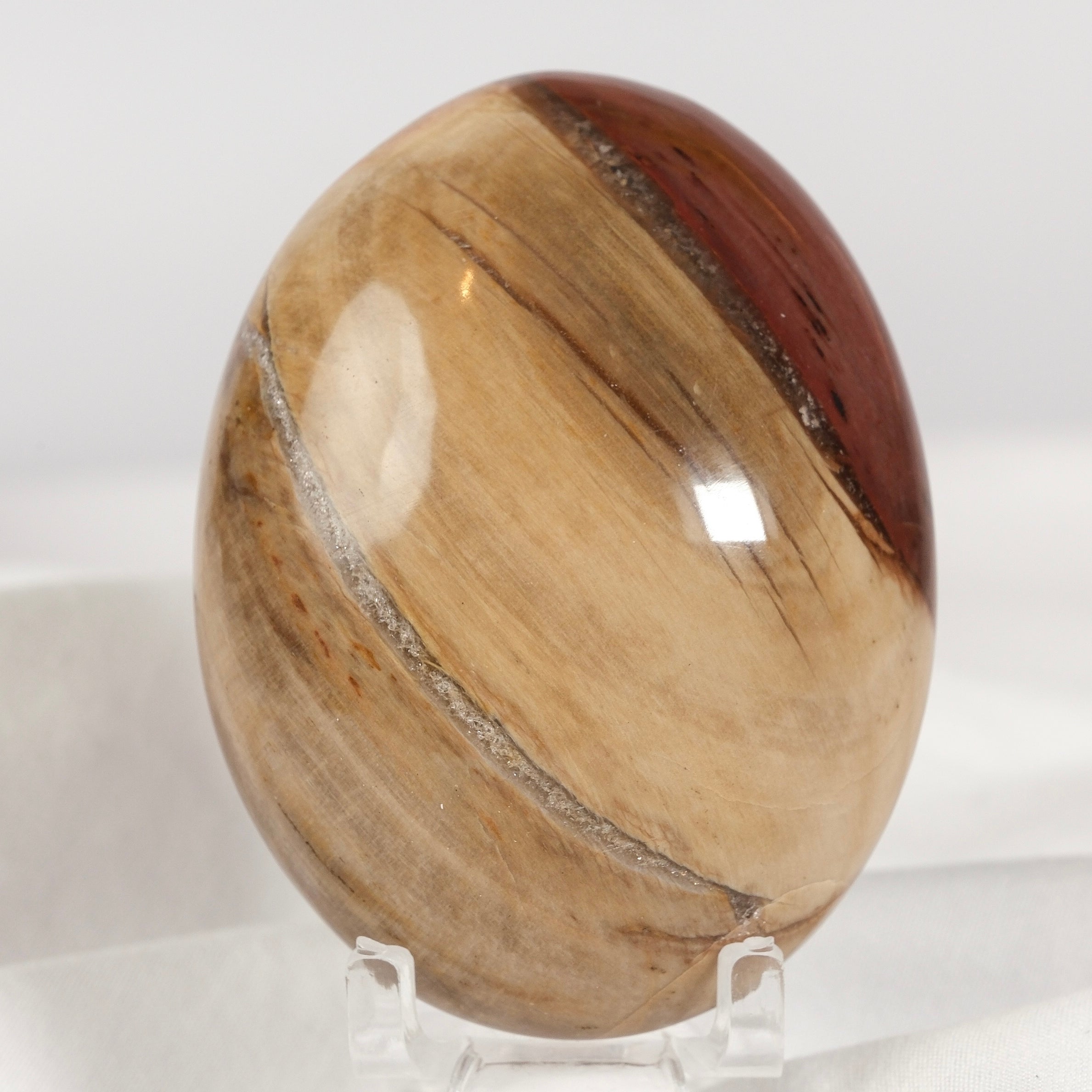 Petrified Wood Palmstone