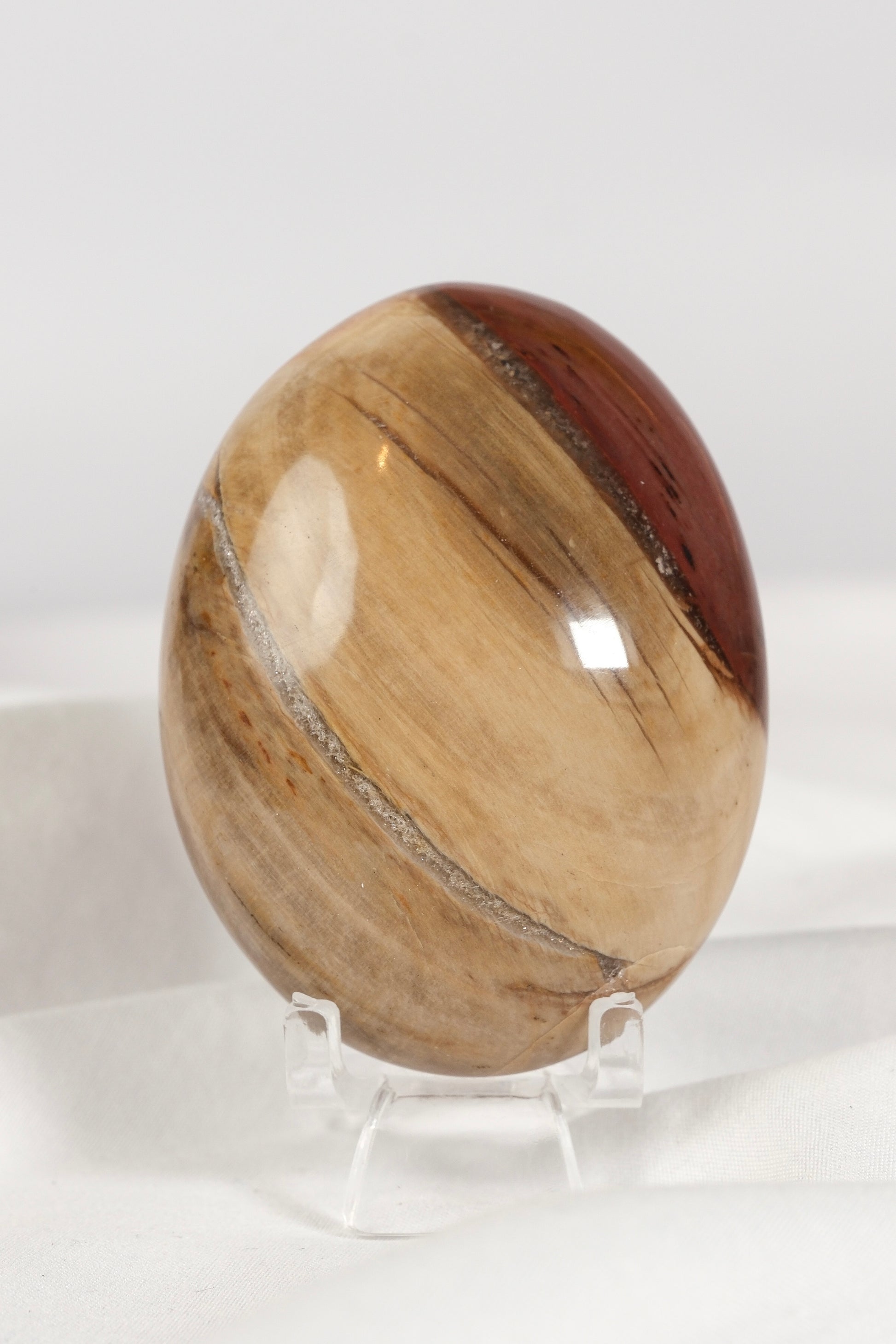 Petrified Wood Palmstone