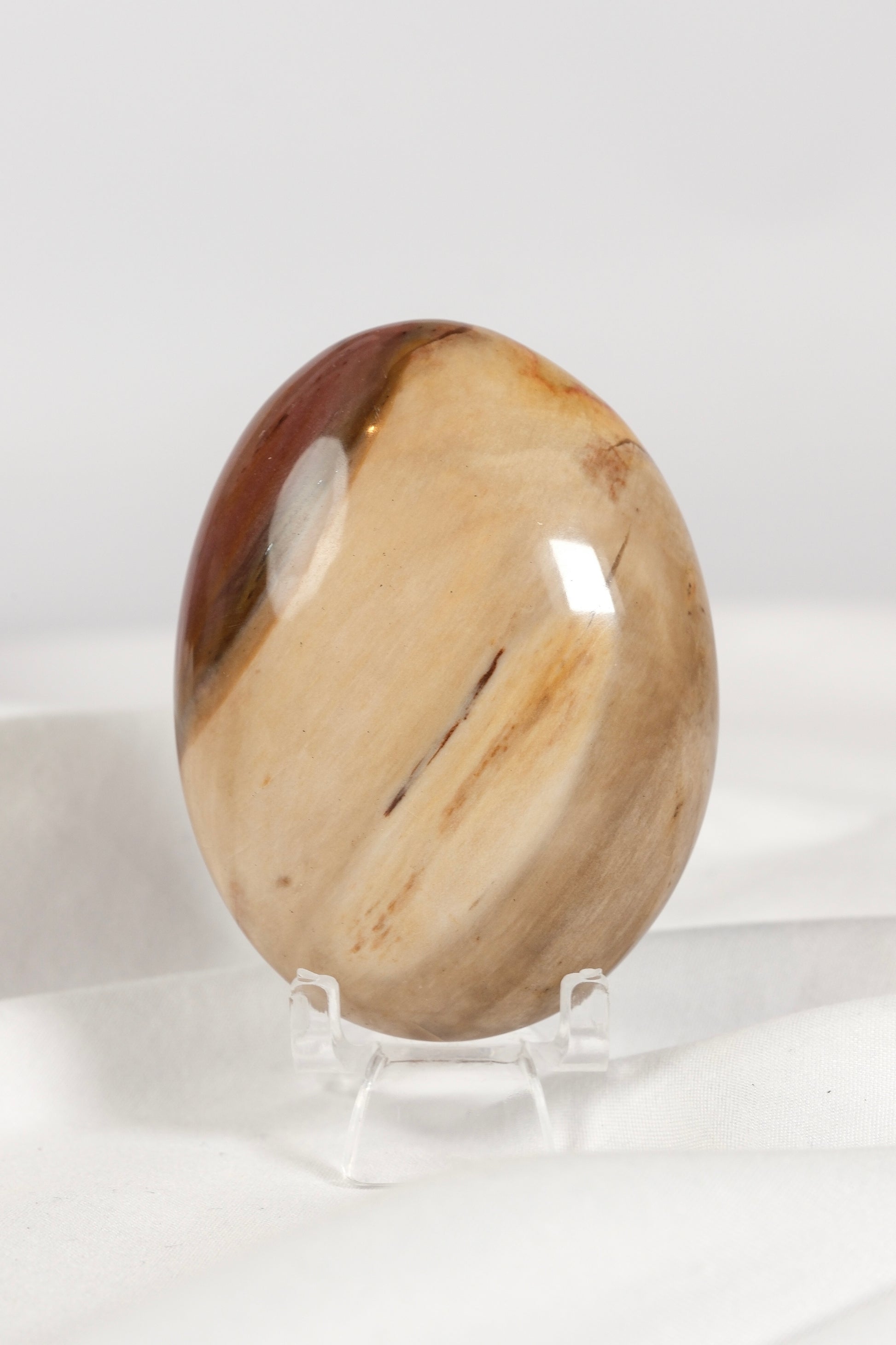 Petrified Wood Palmstone