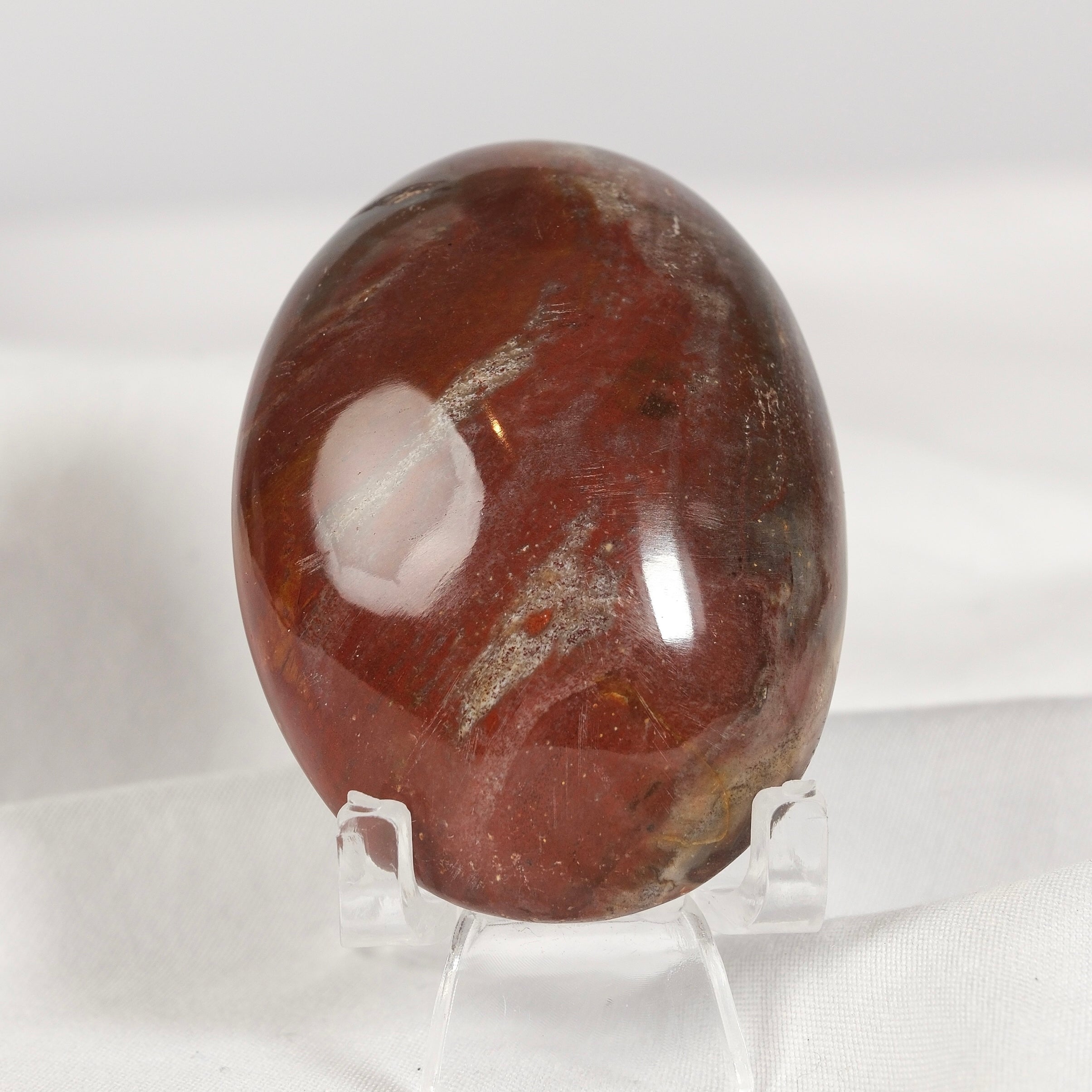 Petrified Wood Palmstone