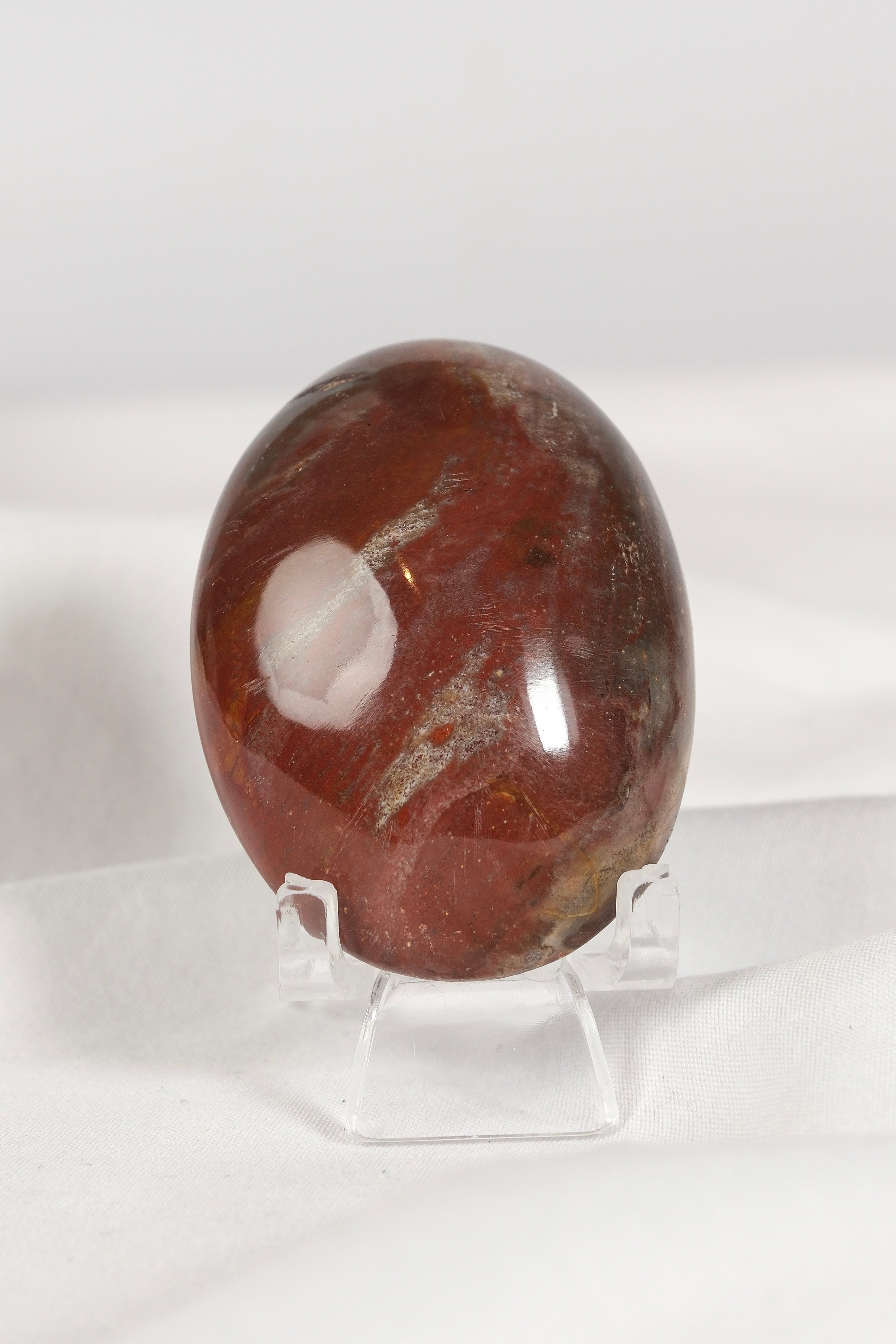 Petrified Wood Palmstone