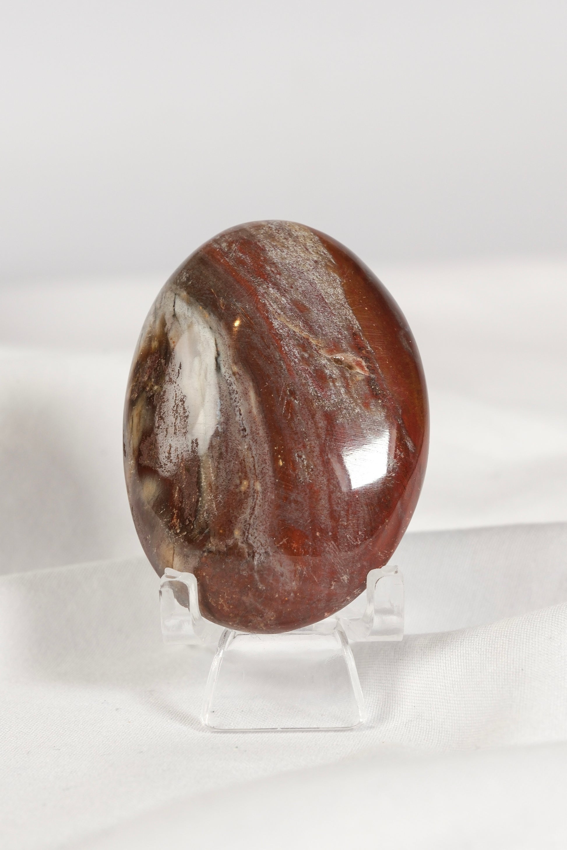 Petrified Wood Palmstone