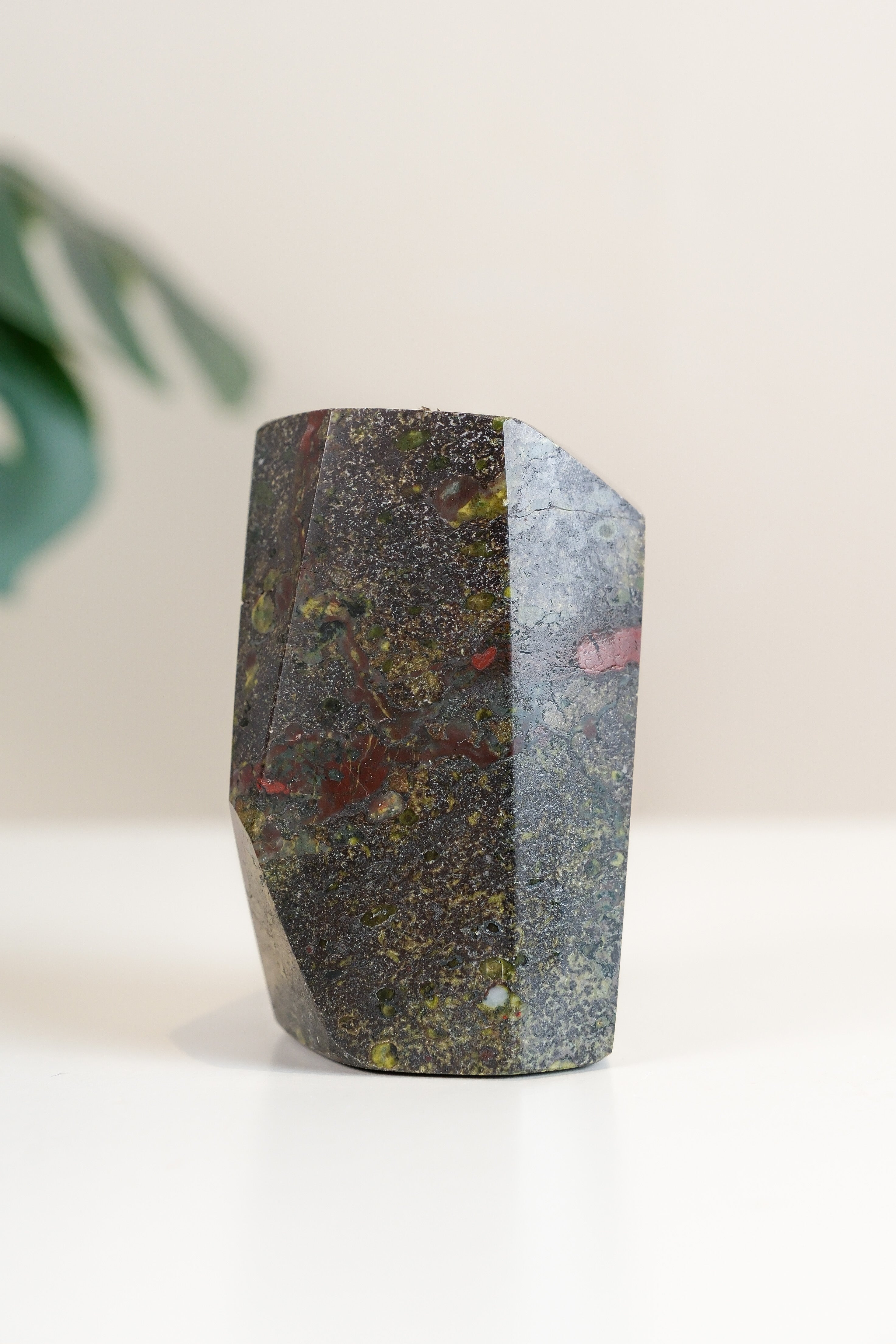 Dragons Blood Freeform