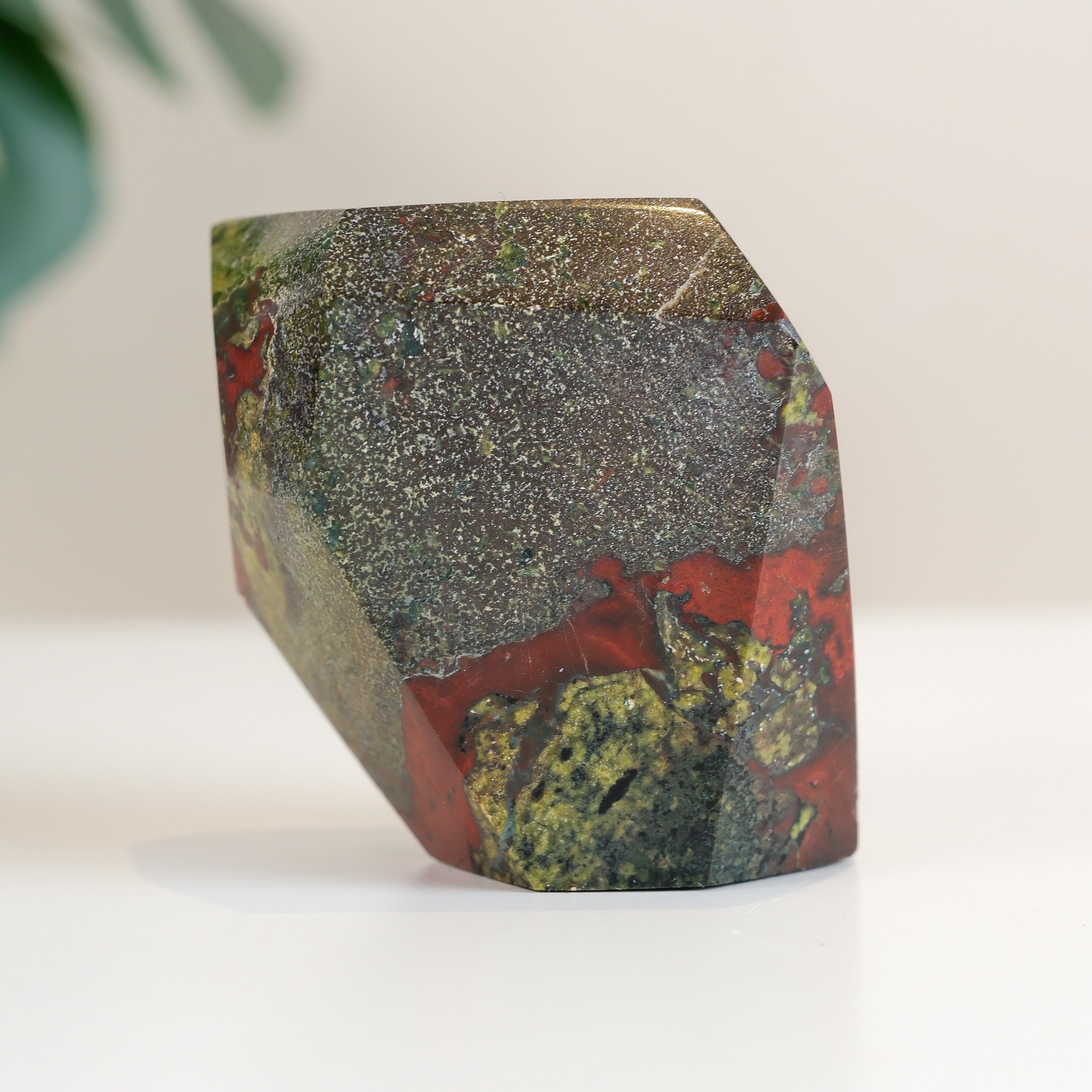 Dragons Blood Freeform