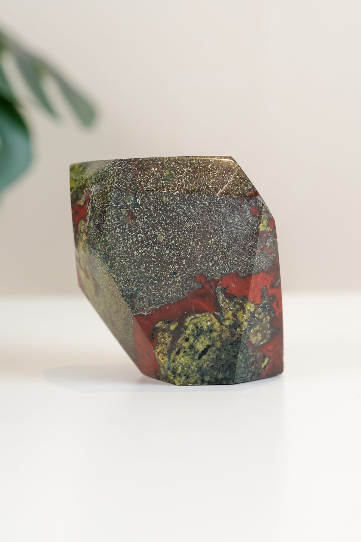 Dragons Blood Freeform