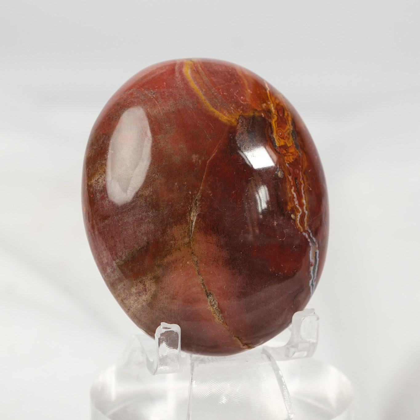 Petrified Wood Palmstone