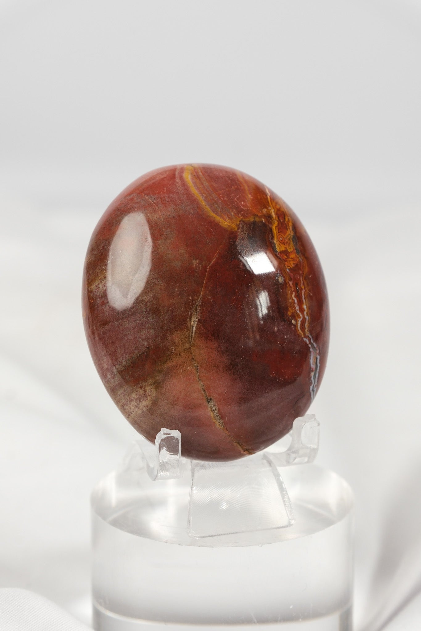Petrified Wood Palmstone