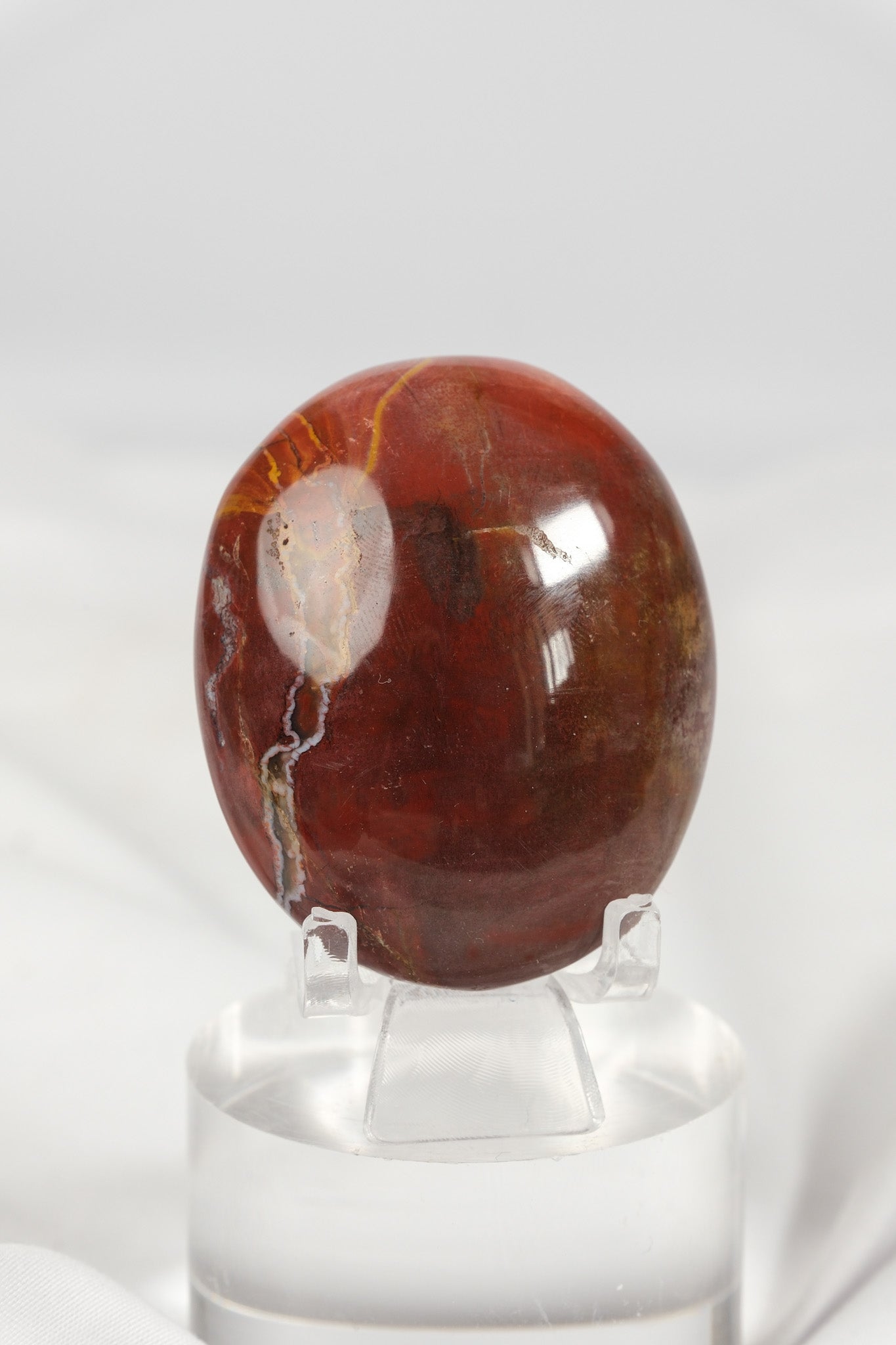 Petrified Wood Palmstone
