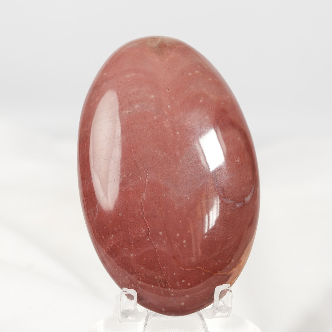 Petrified Wood Palmstone