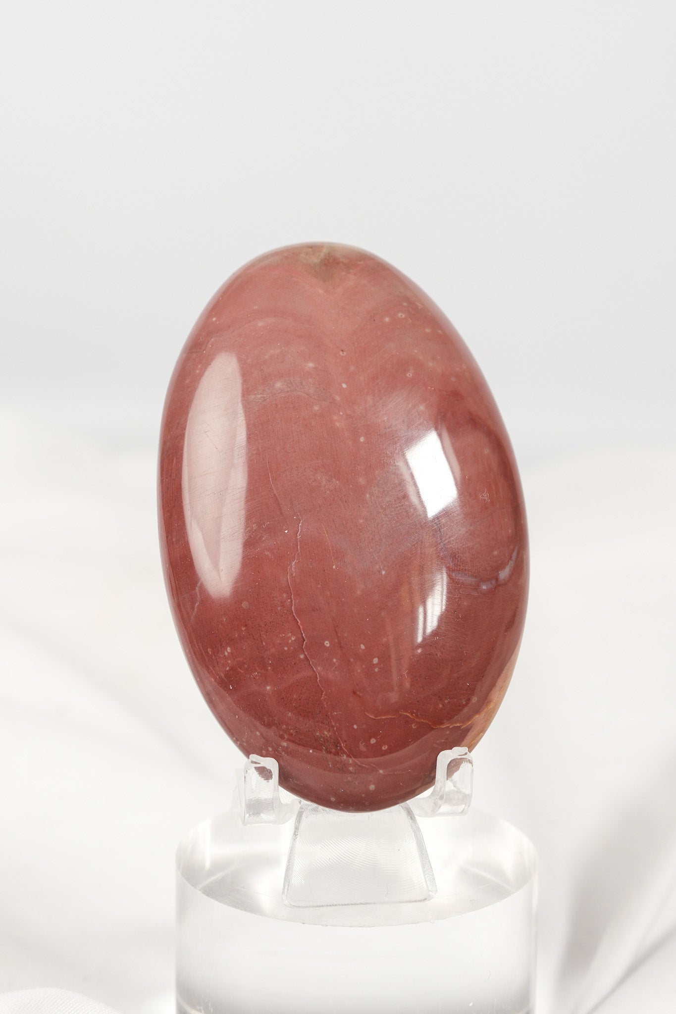 Petrified Wood Palmstone