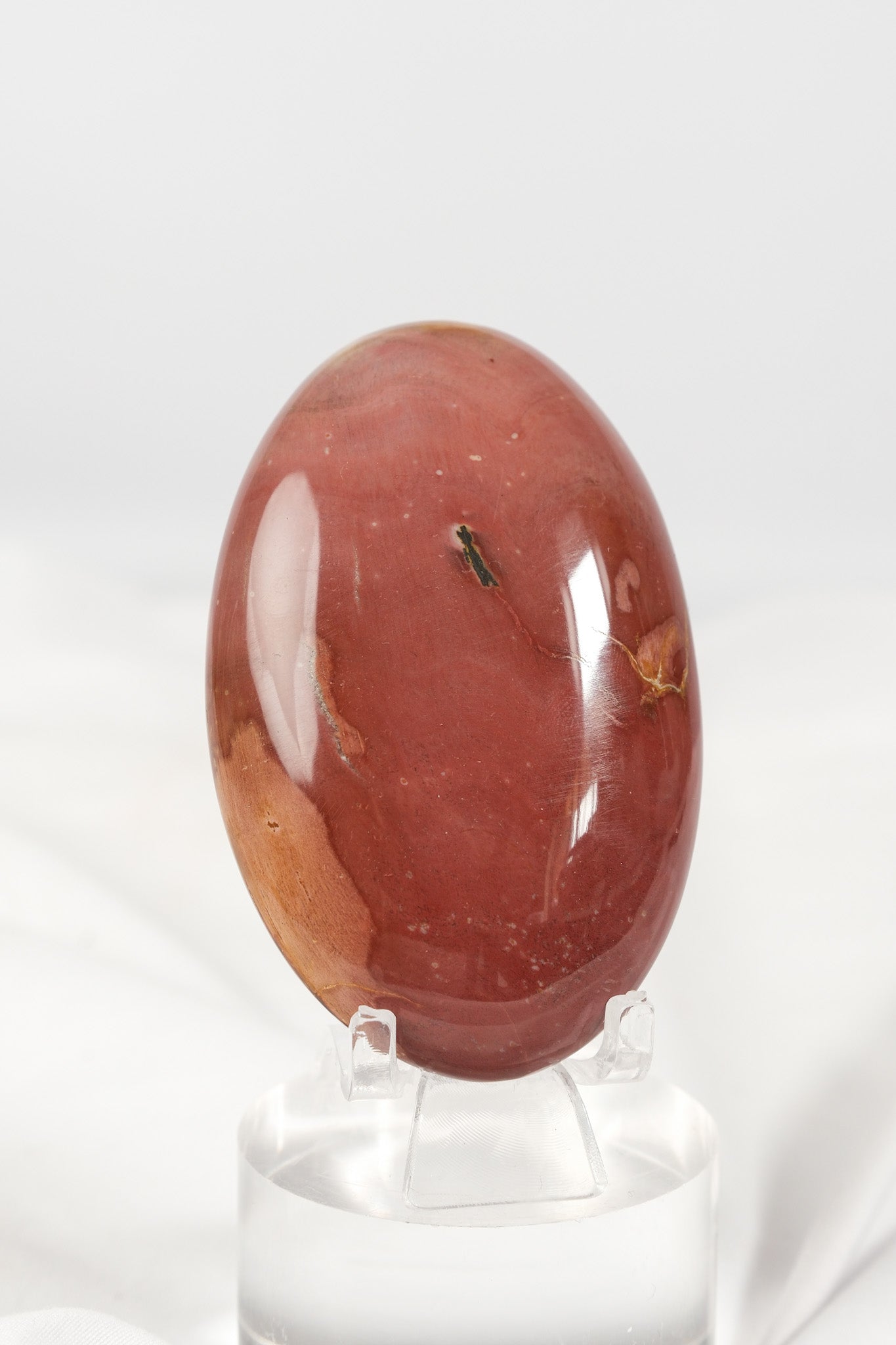 Petrified Wood Palmstone