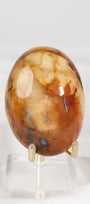Carnelian Palmstone