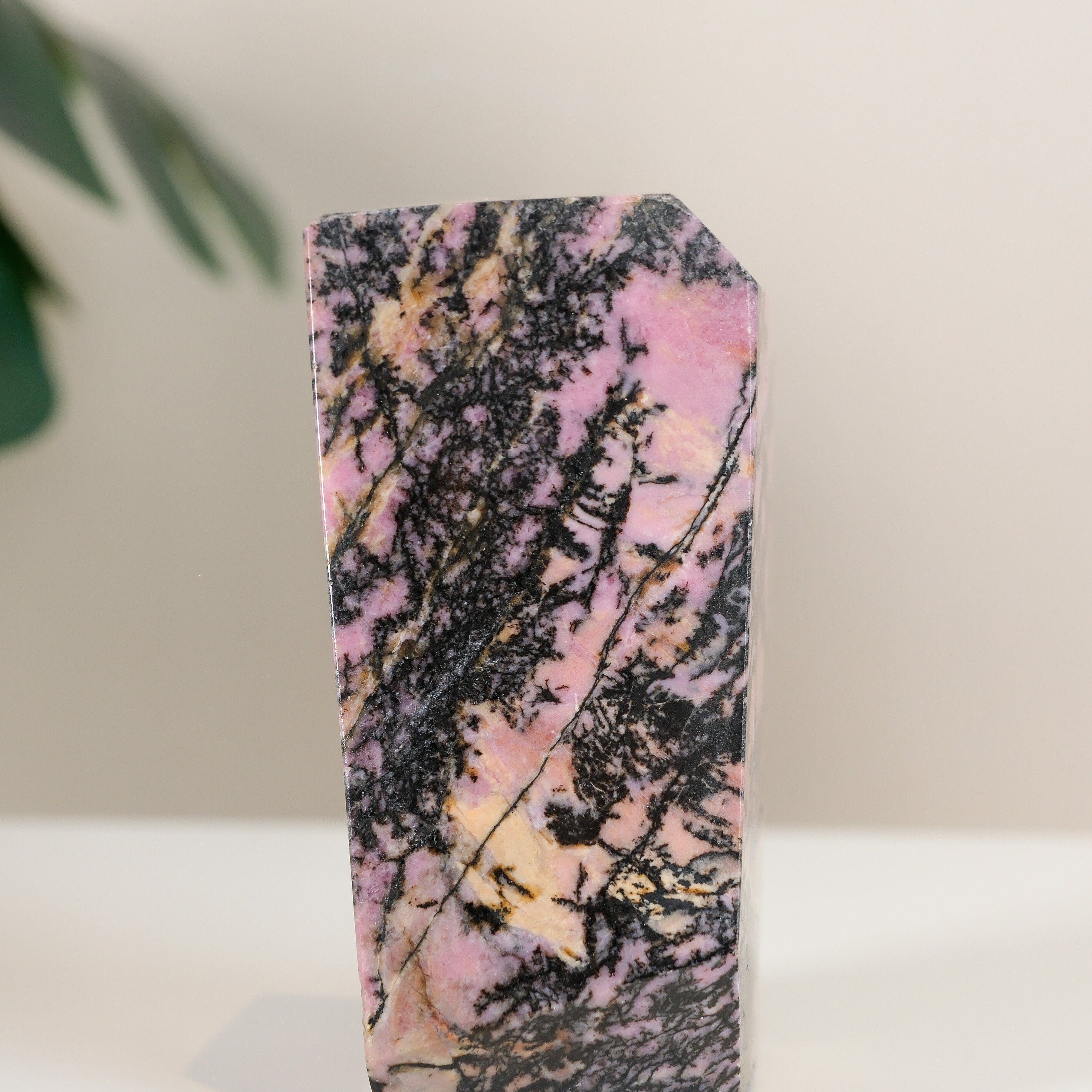 Rhodonite Freeform
