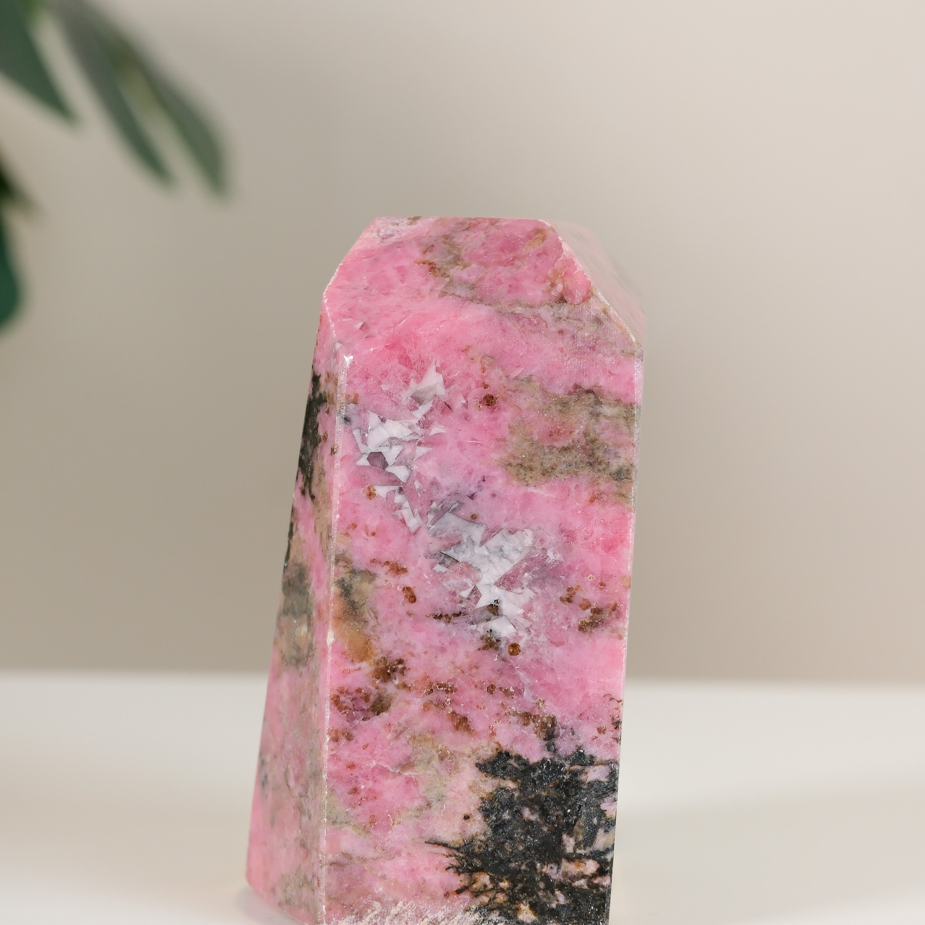 Rhodonite Freeform