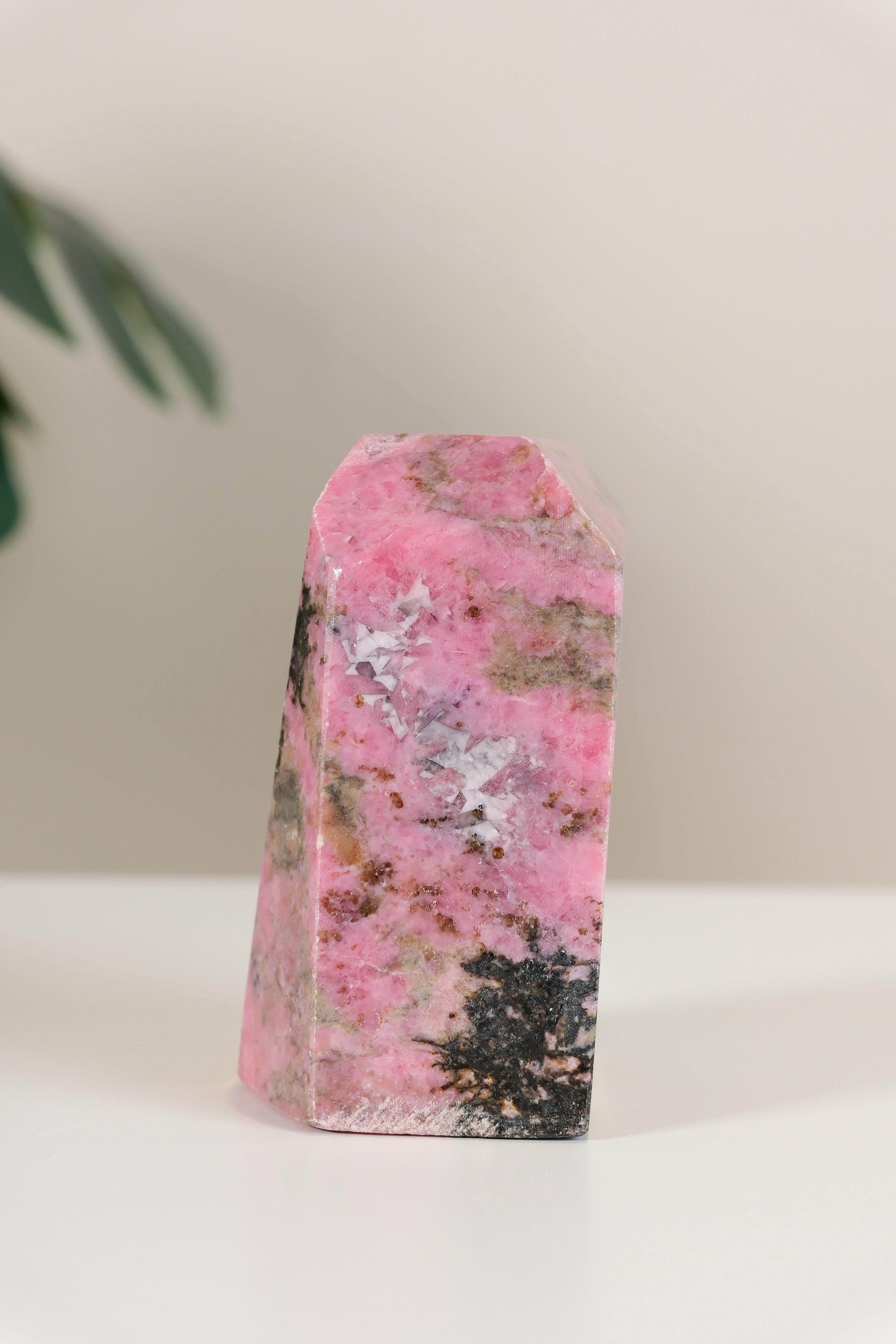 Rhodonite Freeform