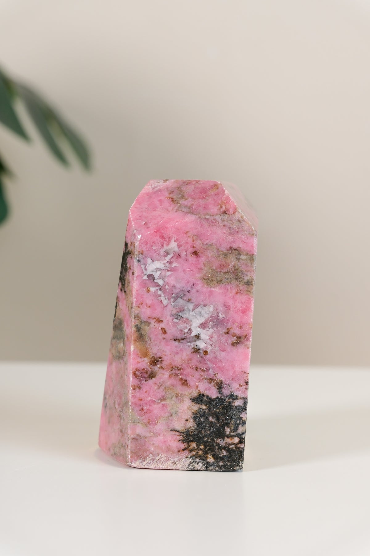 Rhodonite Freeform