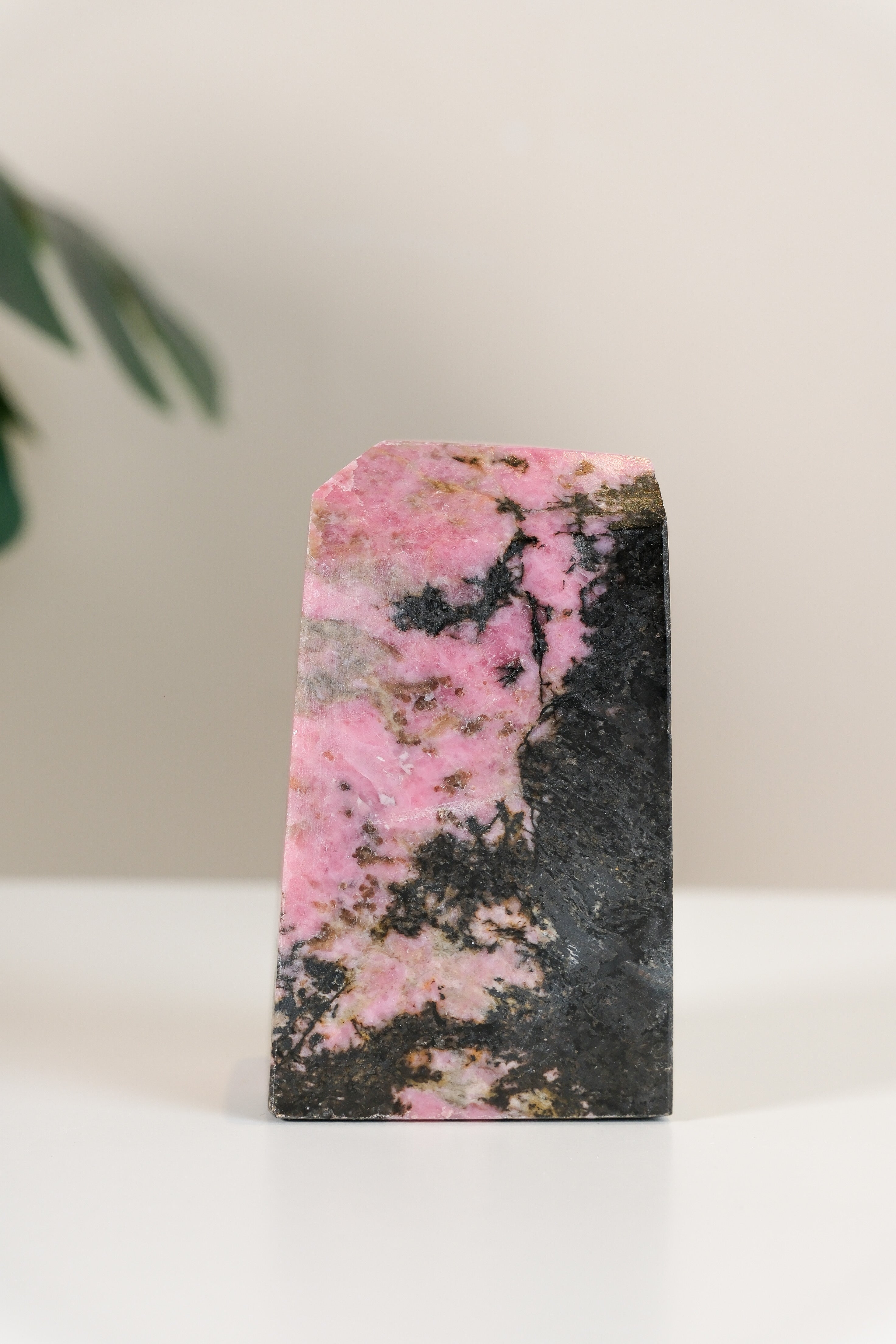 Rhodonite Freeform