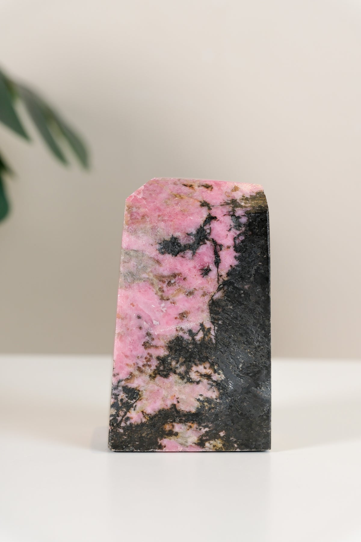 Rhodonite Freeform