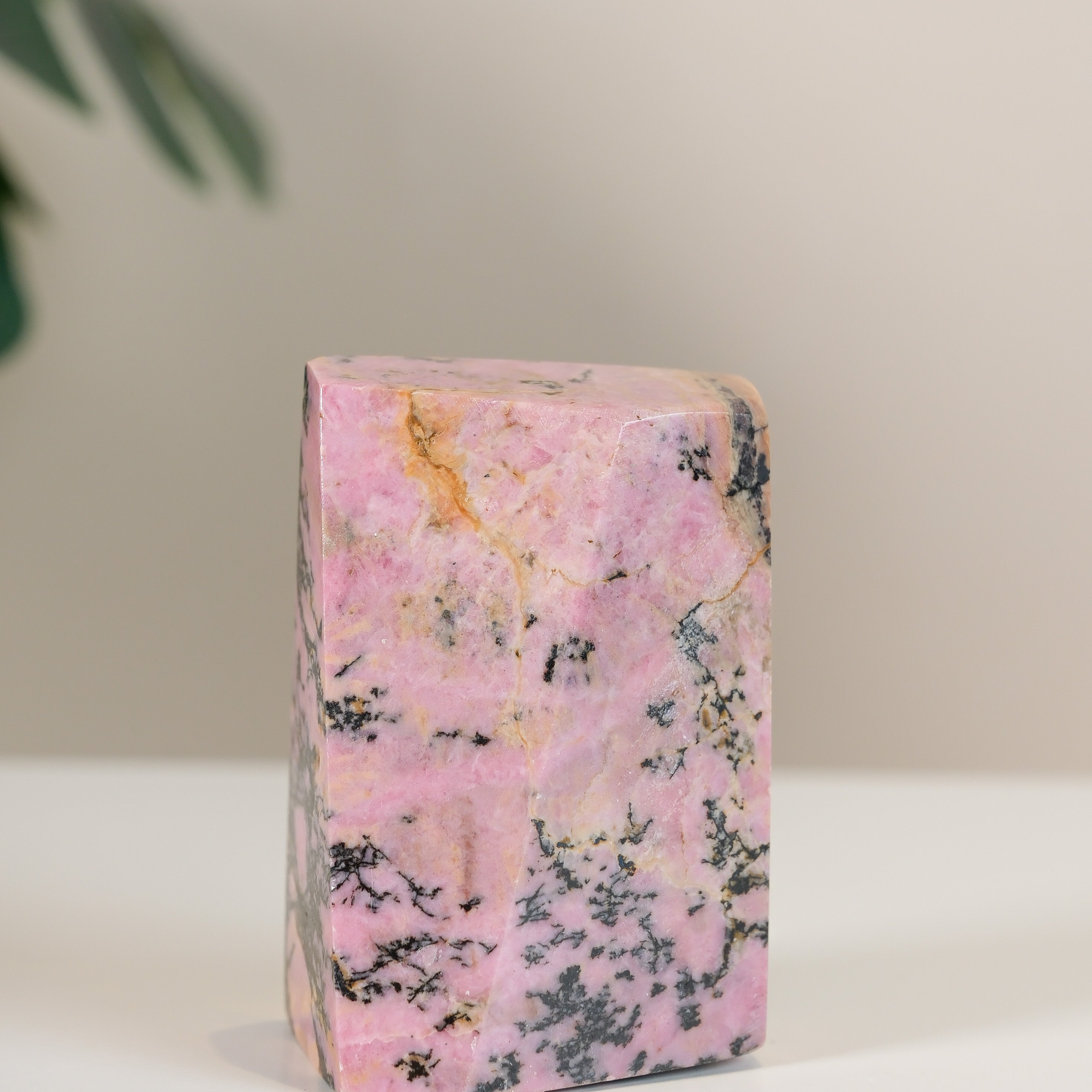 Rhodonite Freeform