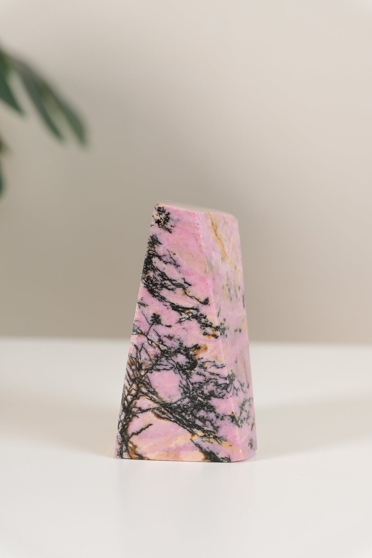 Rhodonite Freeform