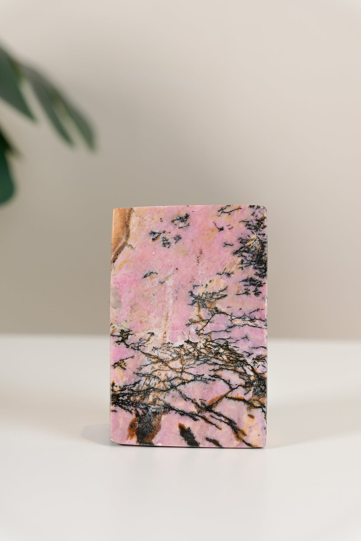 Rhodonite Freeform