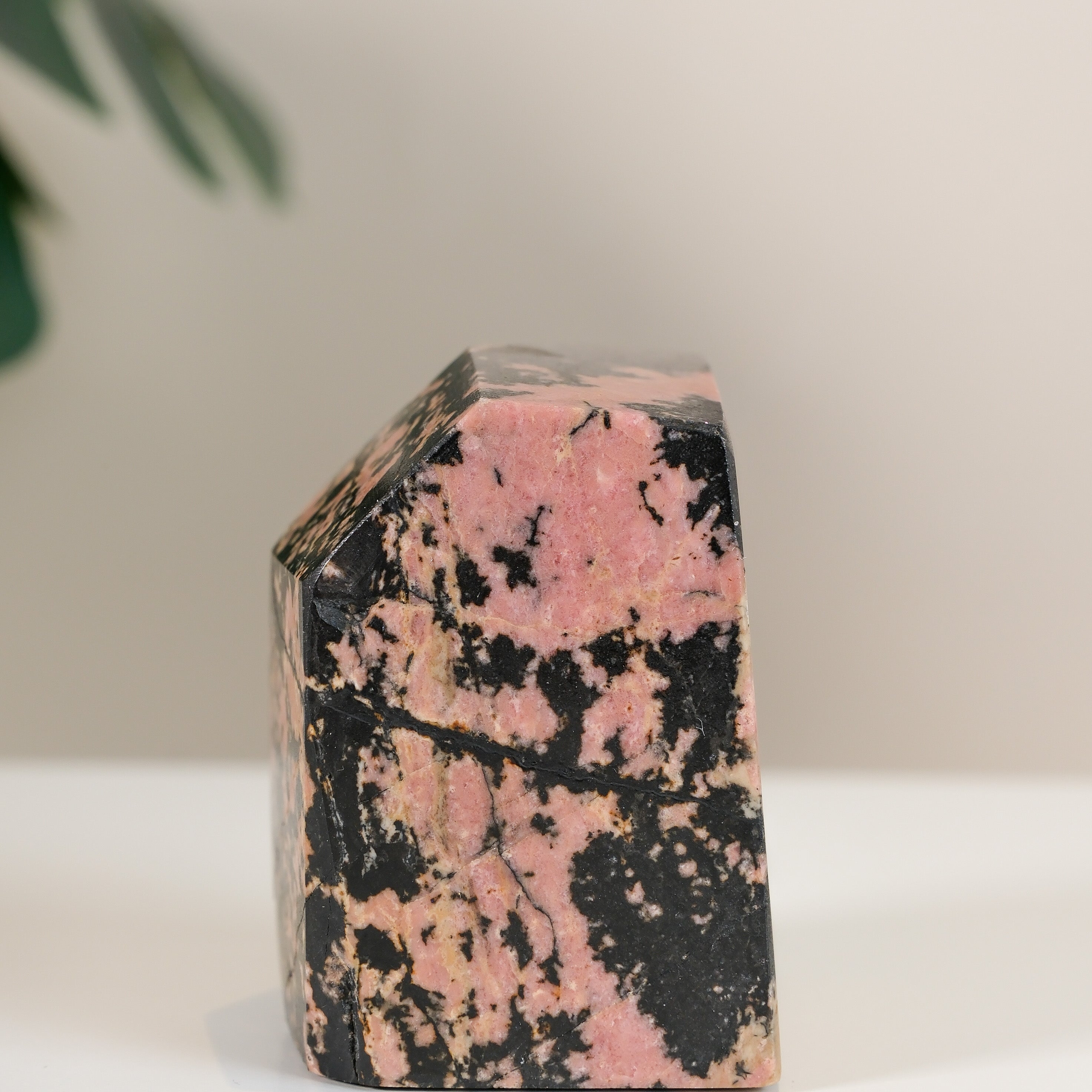 Rhodonite Freeform