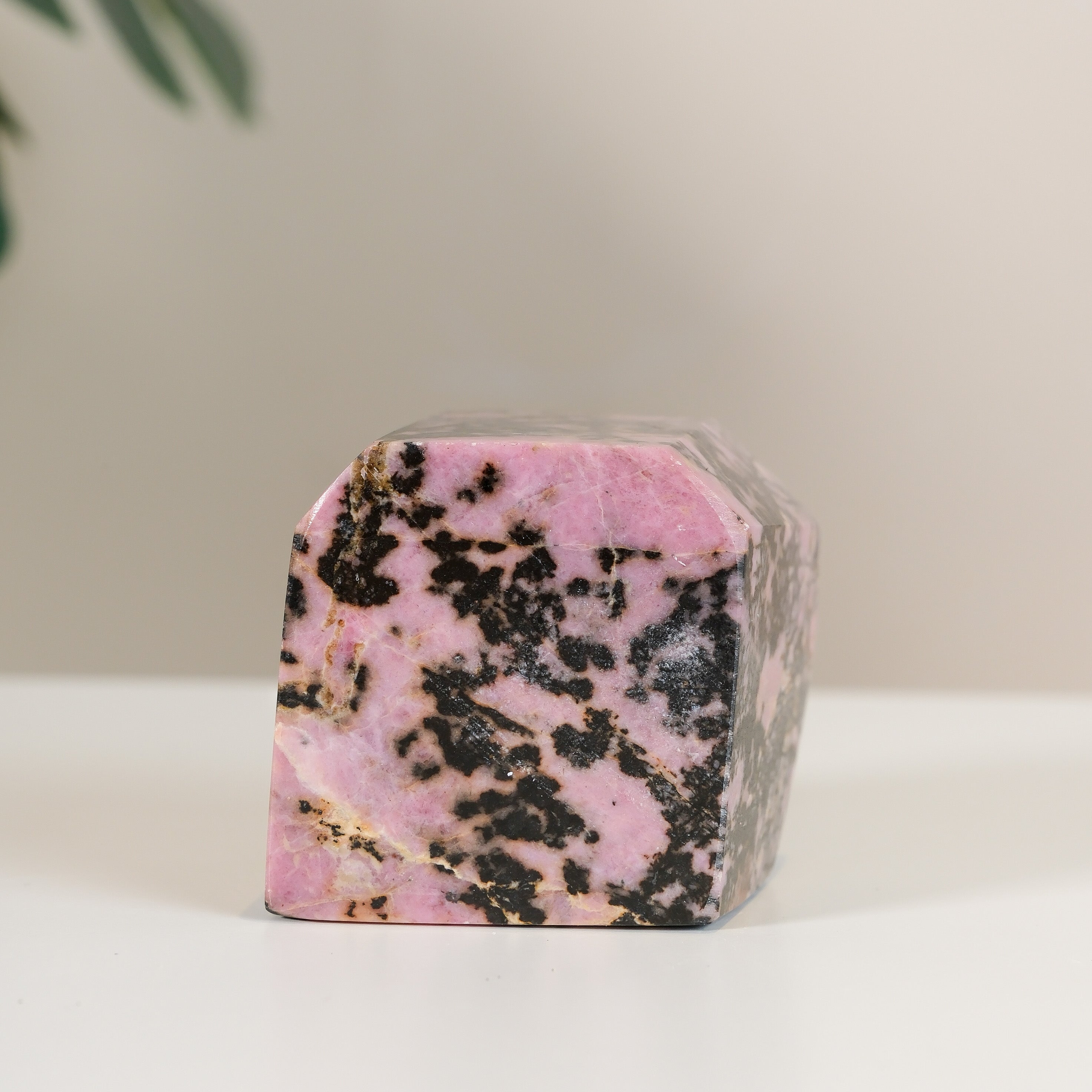 Rhodonite Freeform