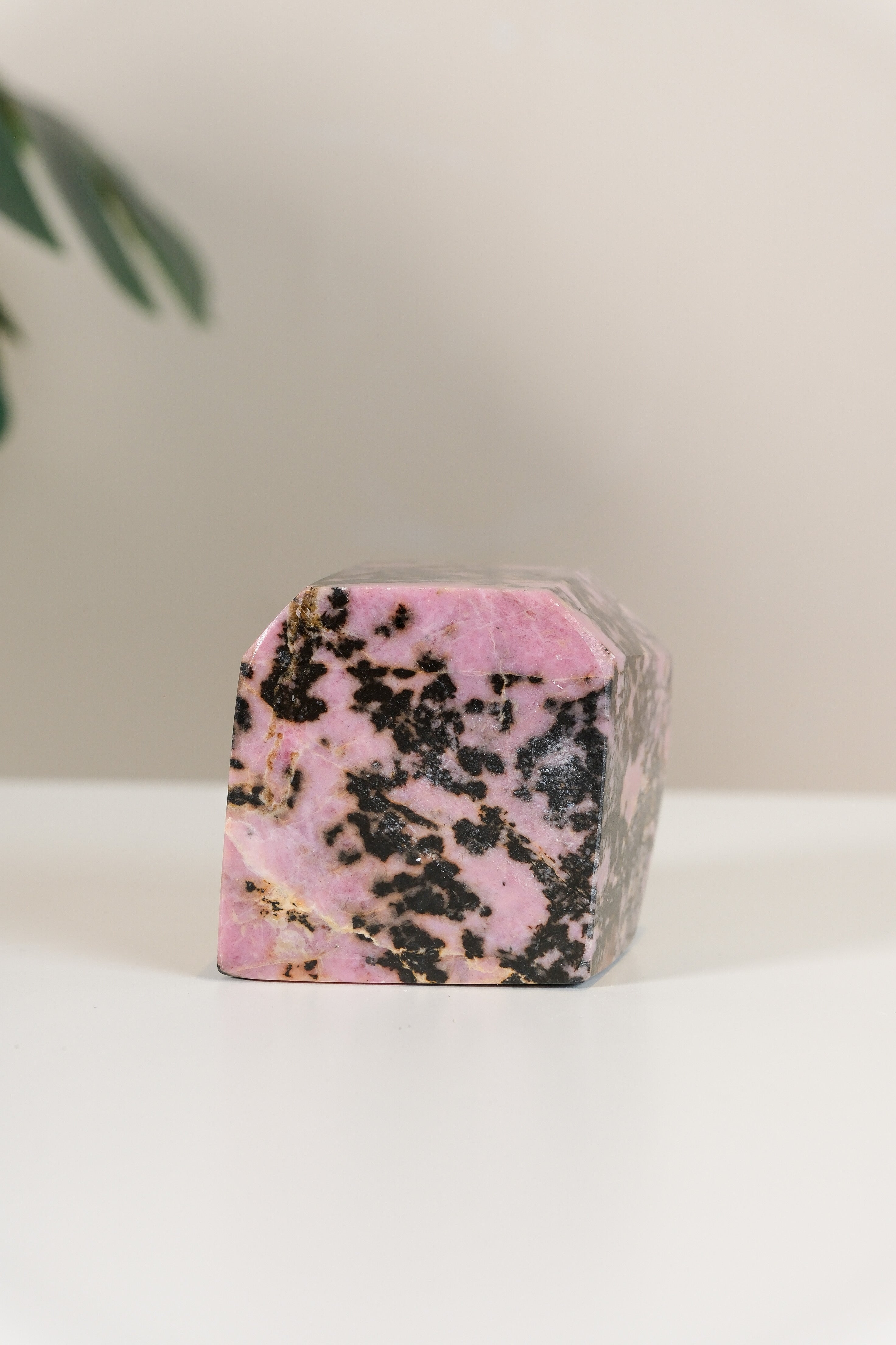 Rhodonite Freeform