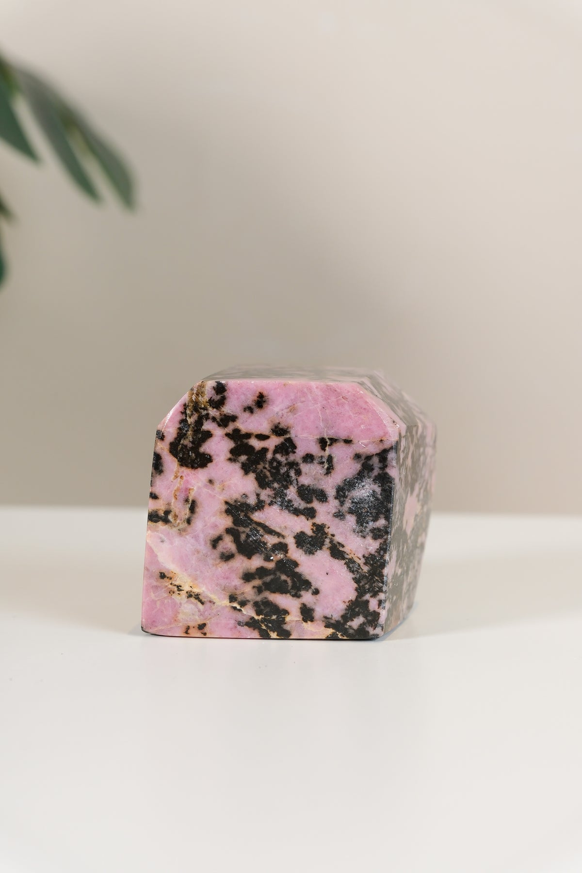 Rhodonite Freeform