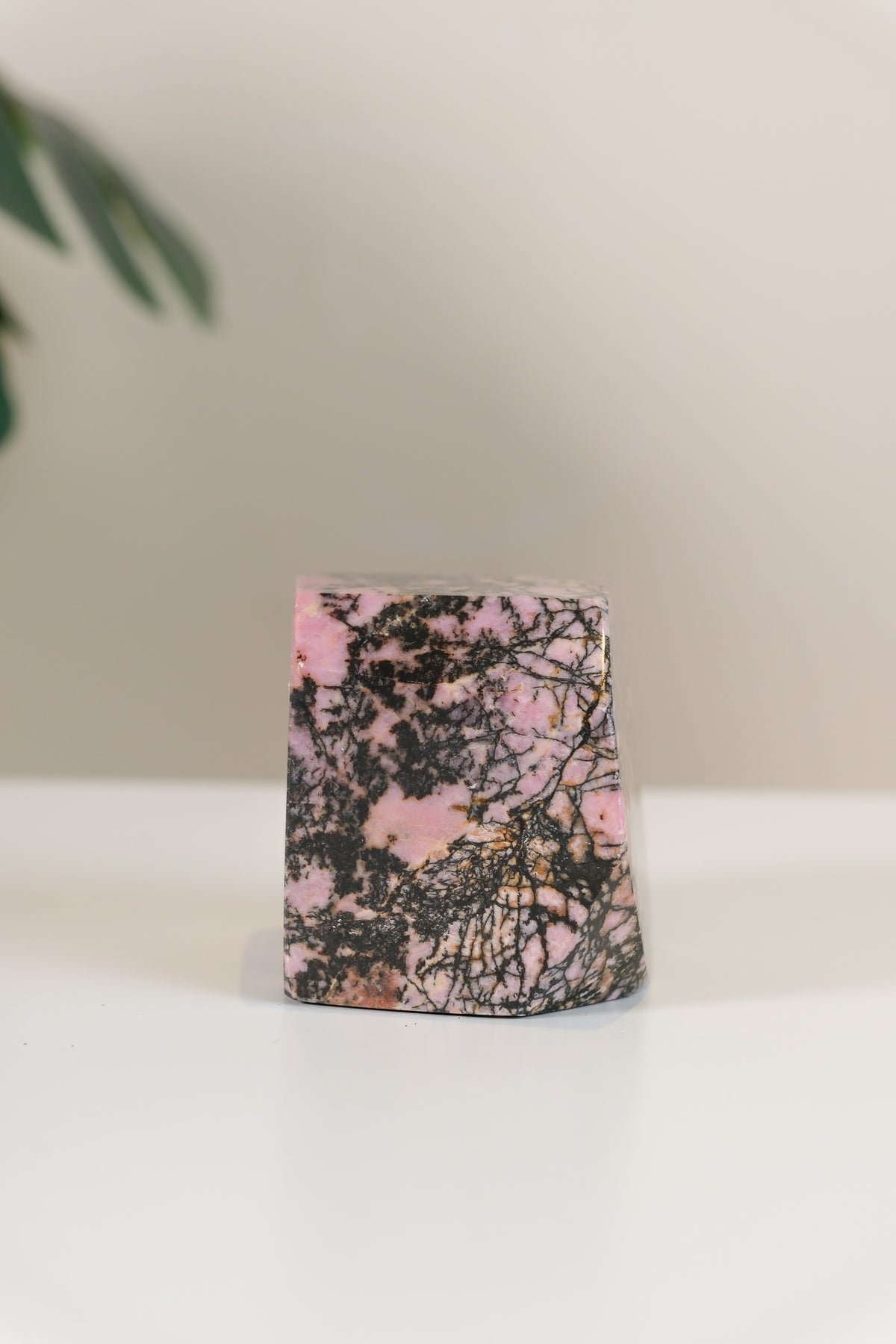 Rhodonite Freeform