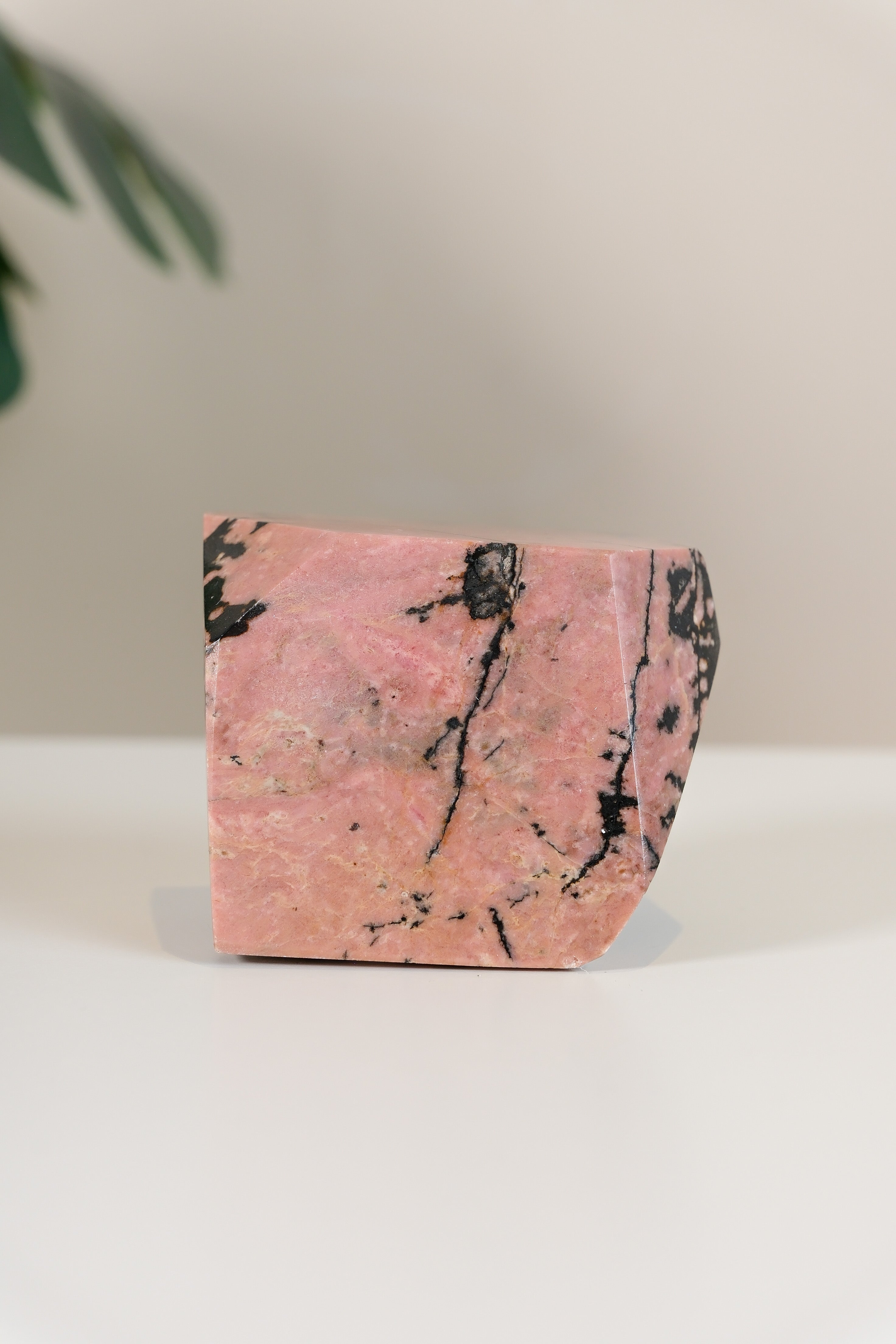 Rhodonite Freeform
