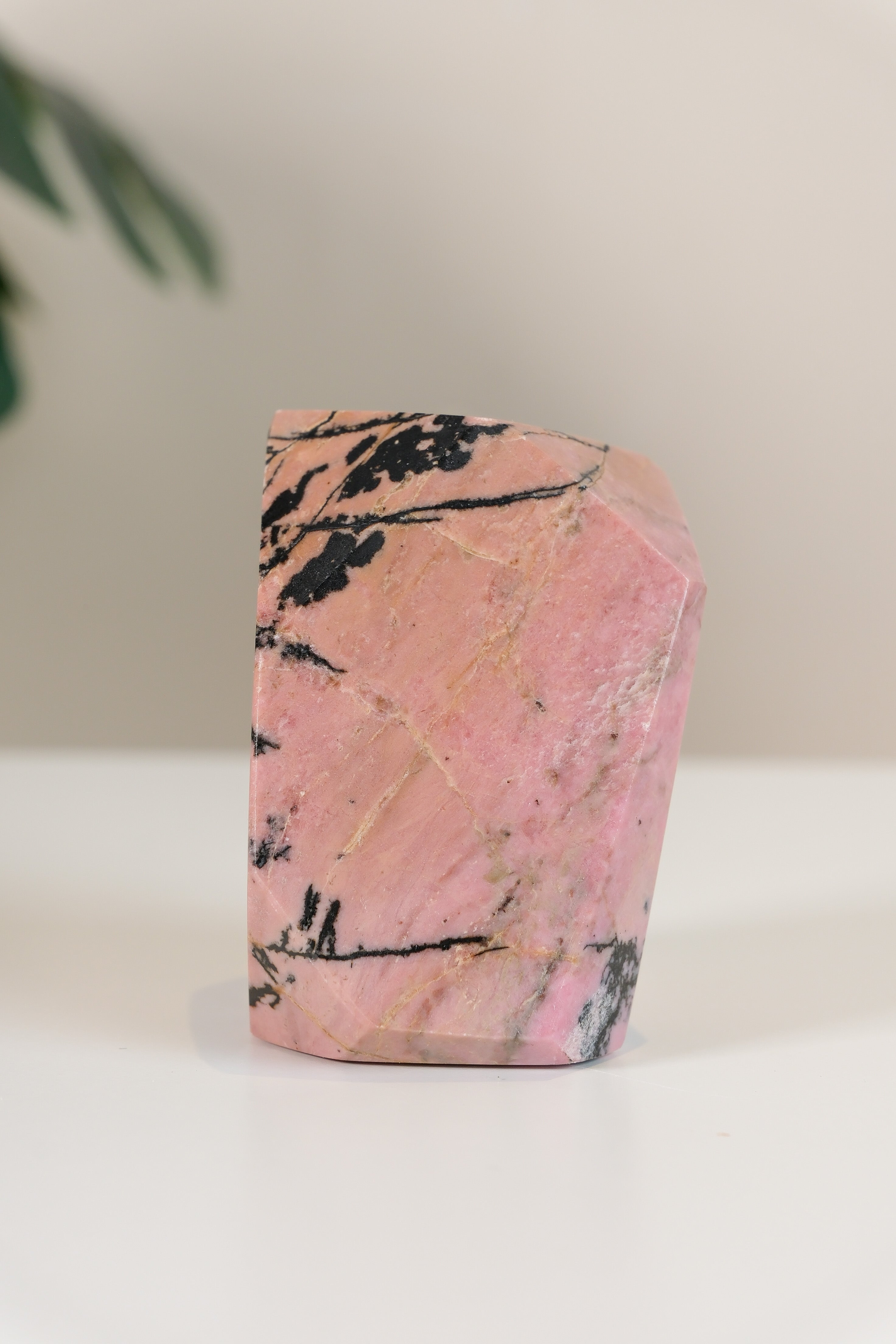 Rhodonite Freeform