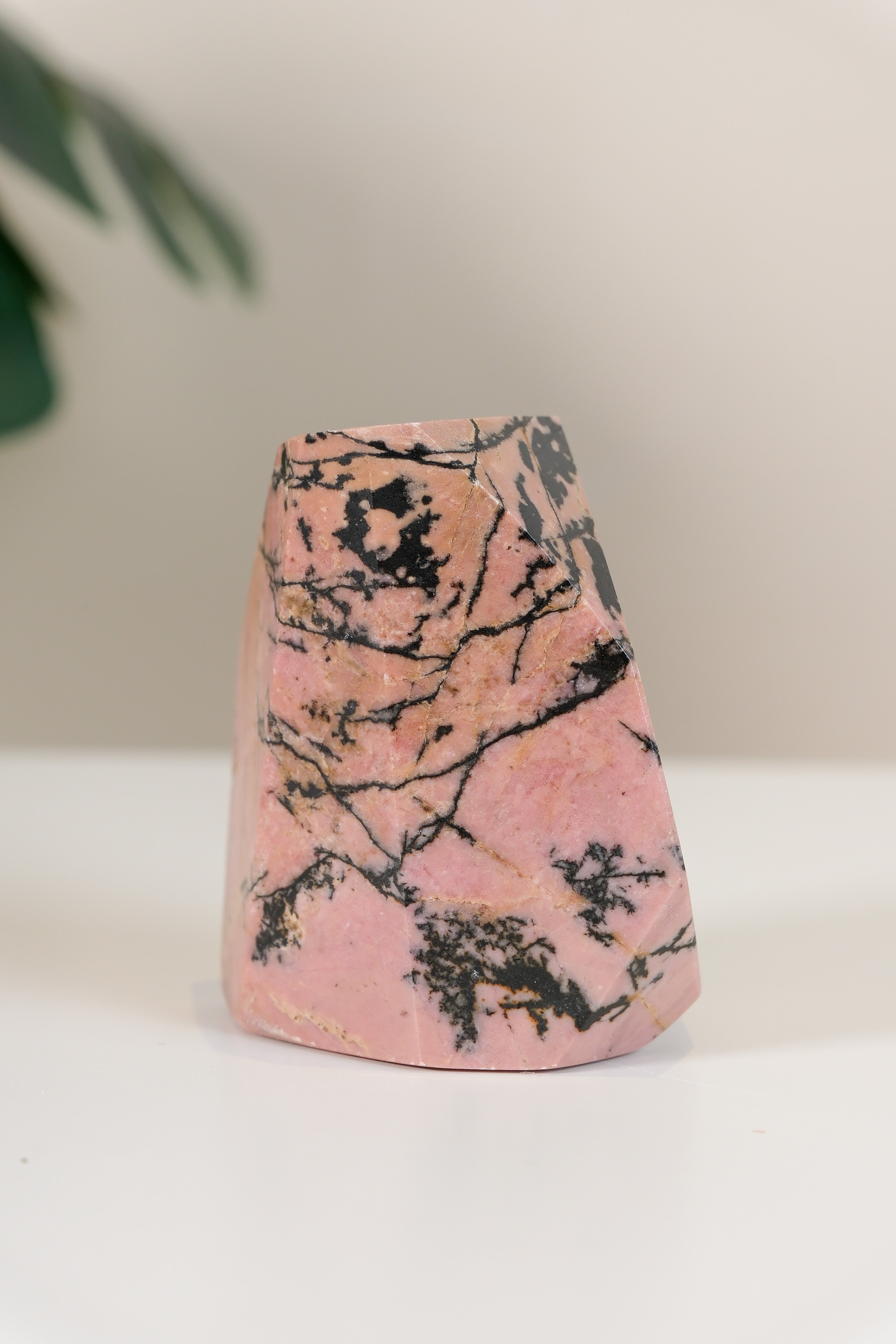 Rhodonite Freeform