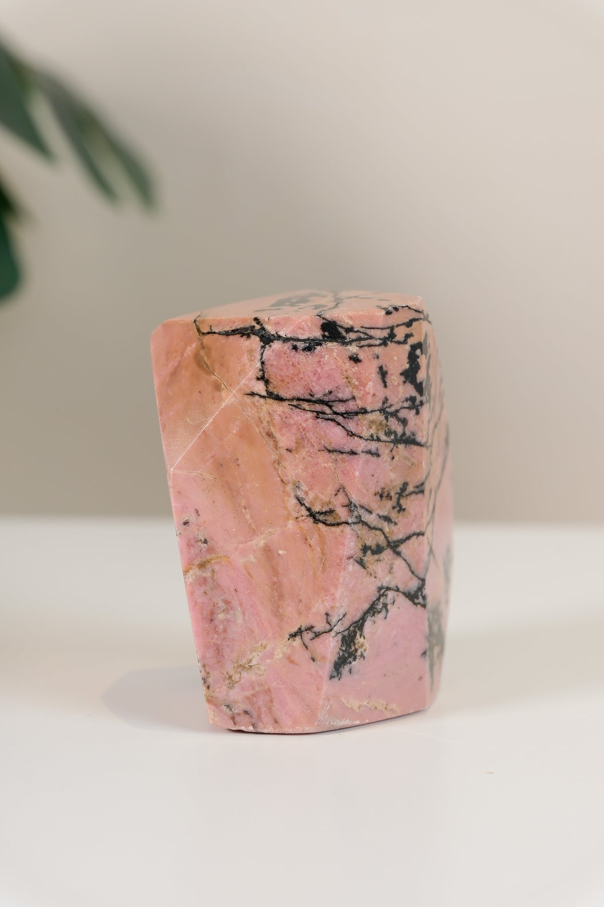 Rhodonite Freeform