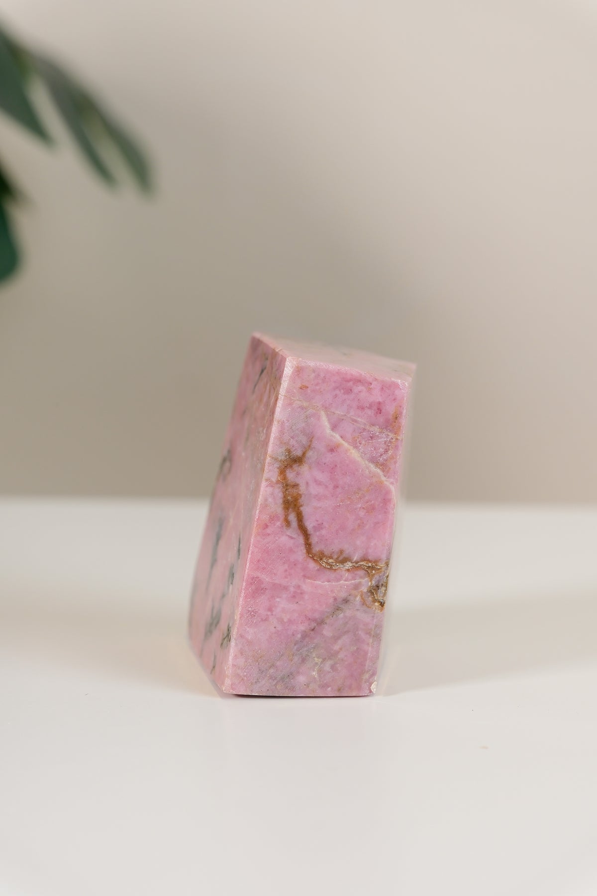 Rhodonite Freeform