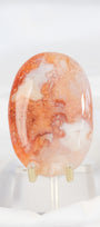 Carnelian Flower Agate Palmstone
