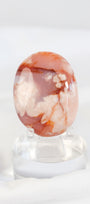 Carnelian Flower Agate Palmstone