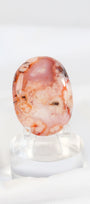 Carnelian Flower Agate Palmstone