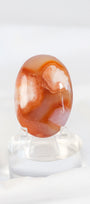 Carnelian Flower Agate Palmstone
