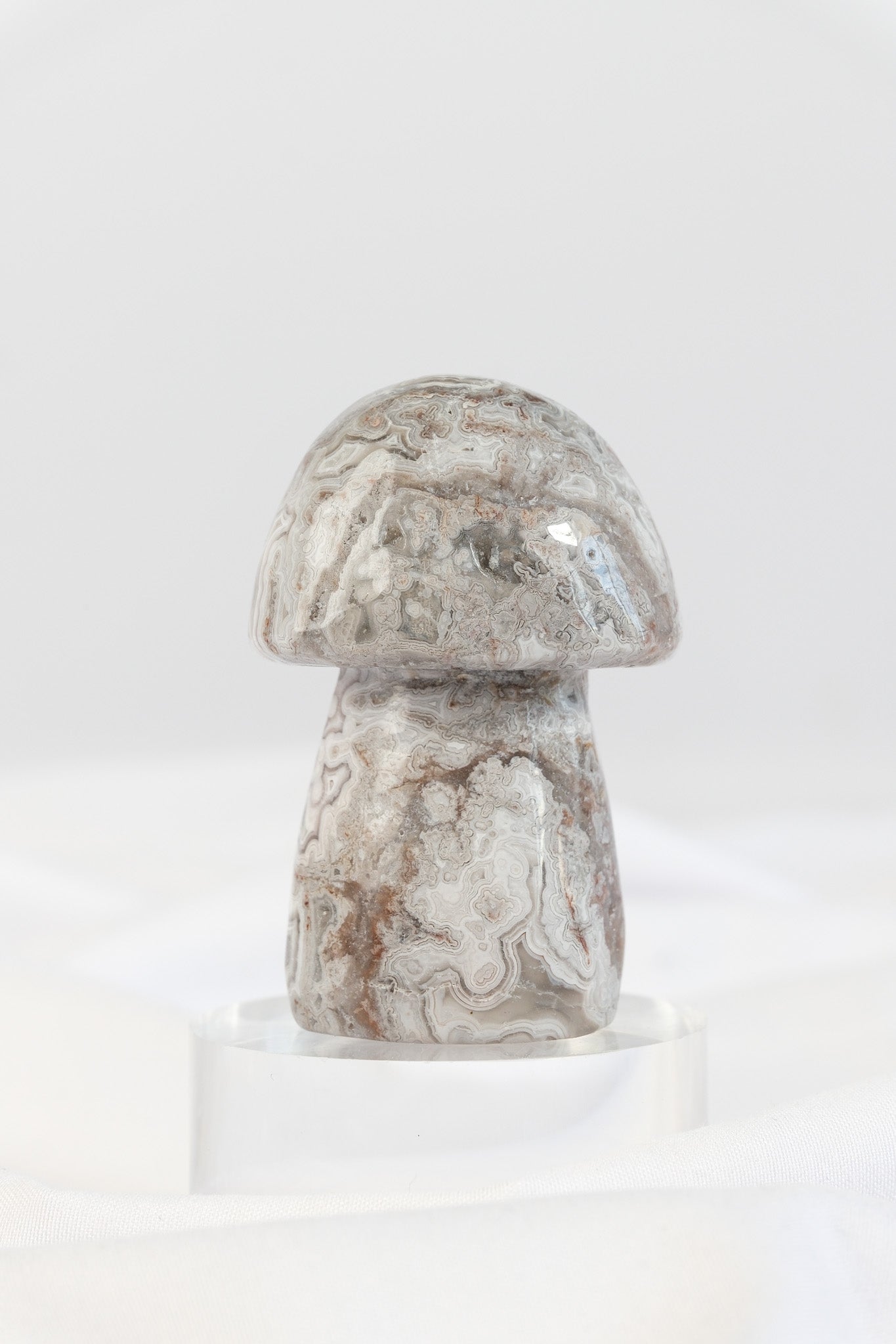 Mexican Crazy Lace Agate Mushroom