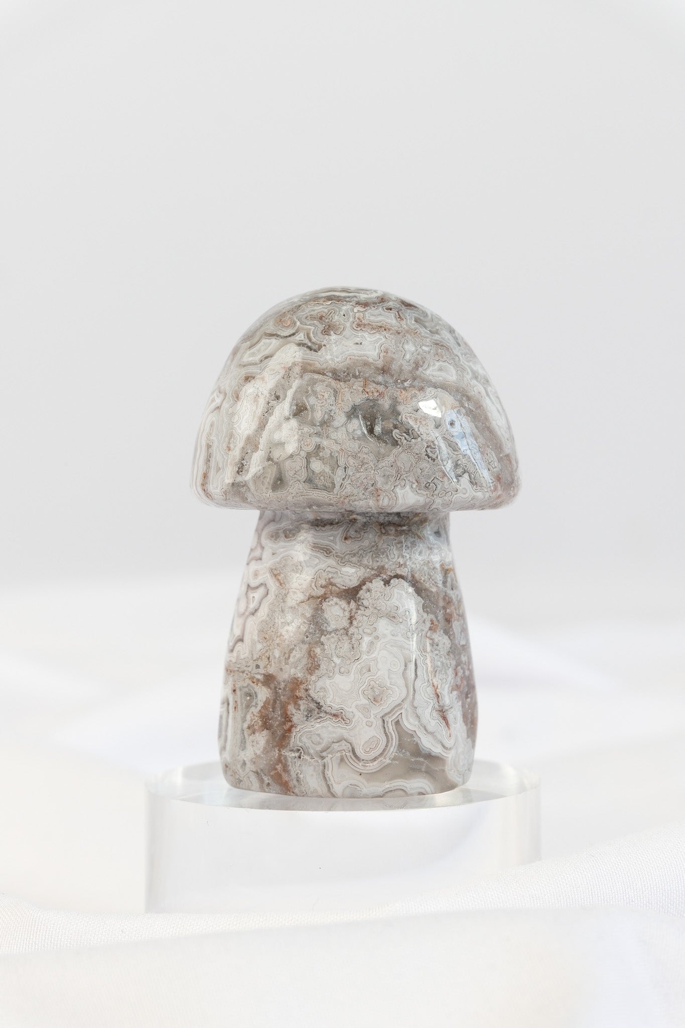 Mexican Crazy Lace Agate Mushroom