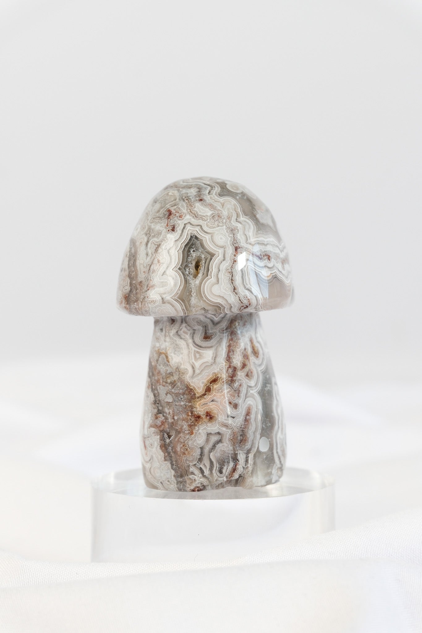 Mexican Crazy Lace Agate Mushroom