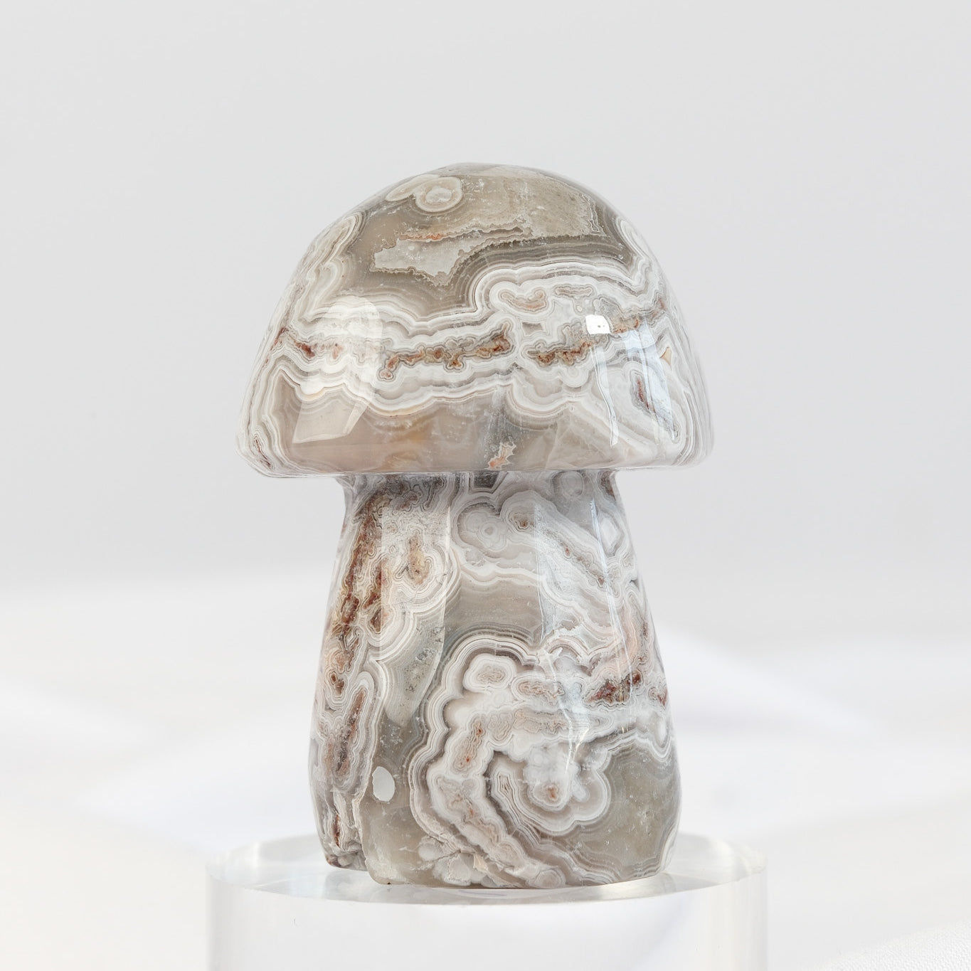 Mexican Crazy Lace Agate Mushroom