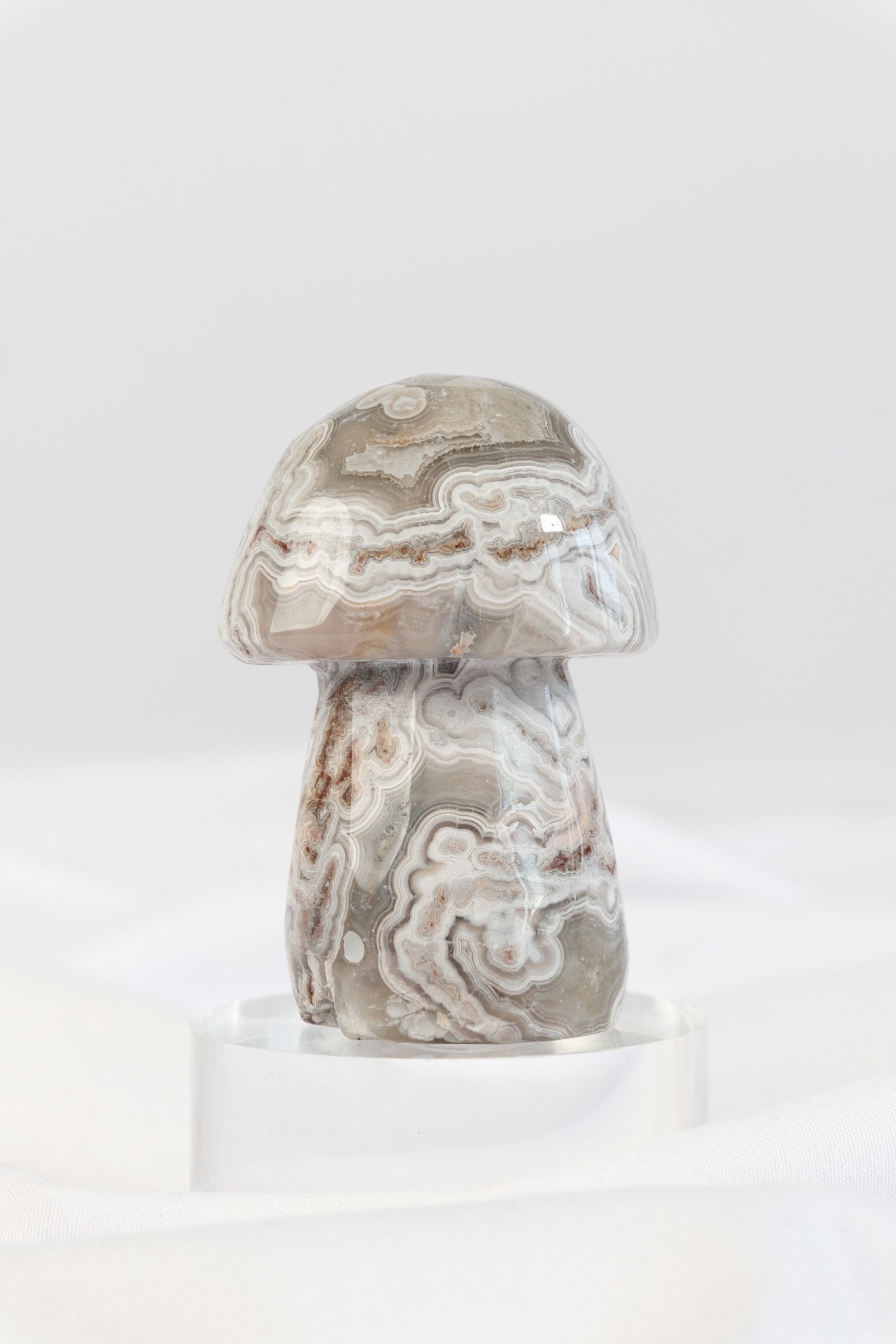 Mexican Crazy Lace Agate Mushroom