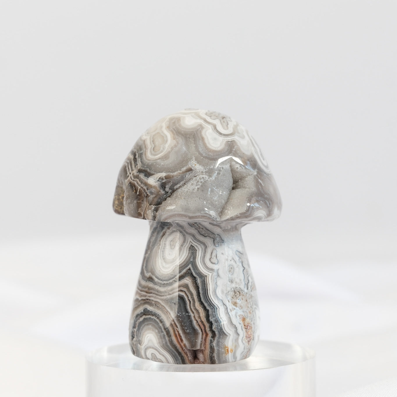 Mexican Crazy Lace Agate Mushroom