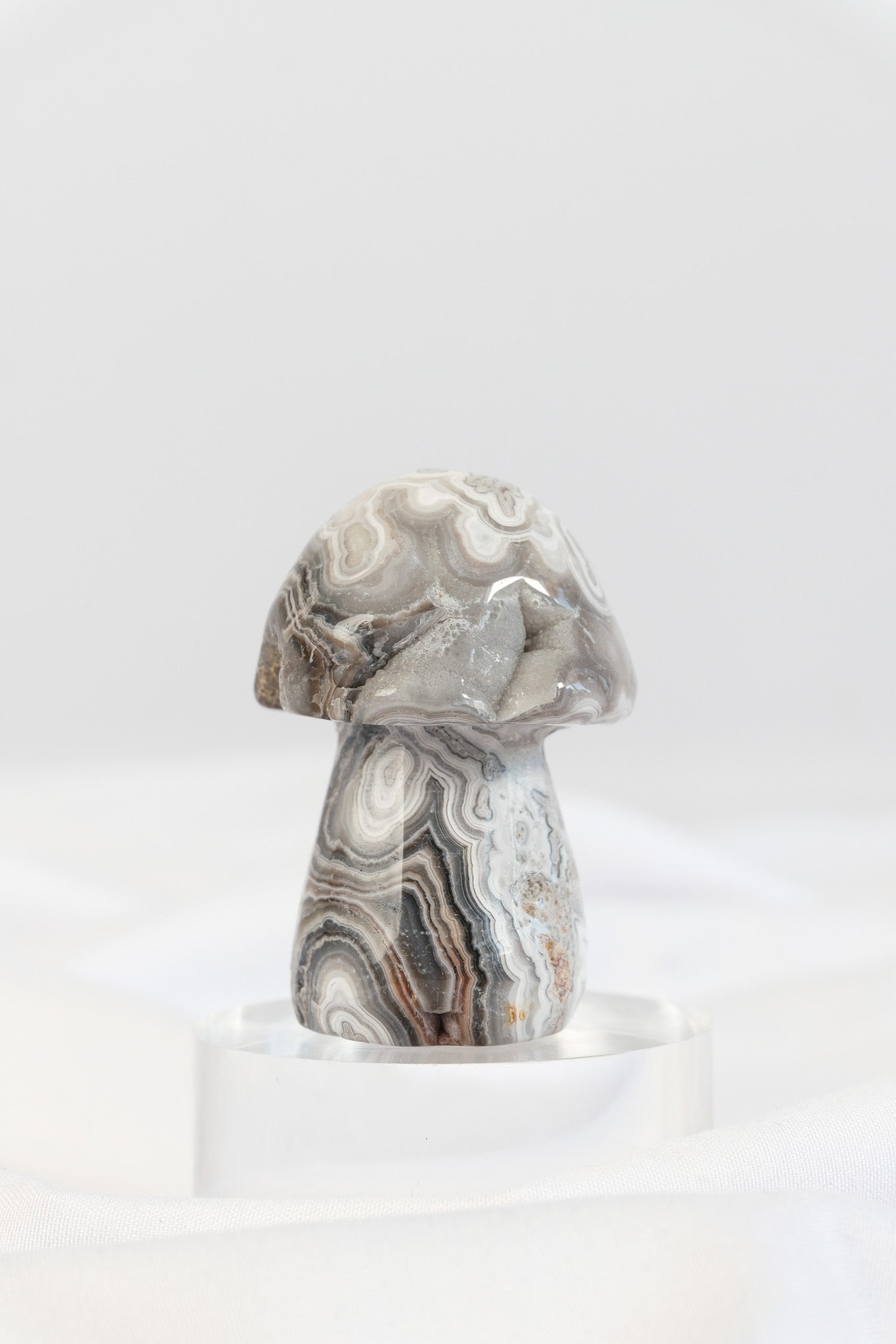 Mexican Crazy Lace Agate Mushroom