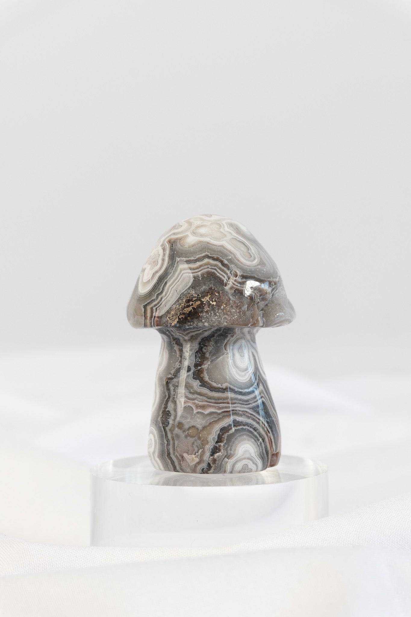 Mexican Crazy Lace Agate Mushroom